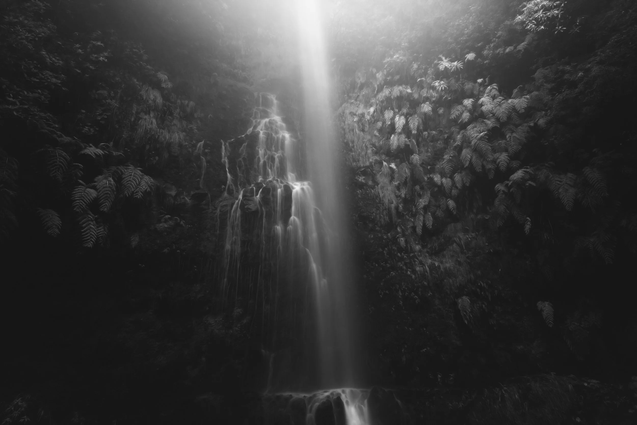 DSC00527-Edit.jpg
