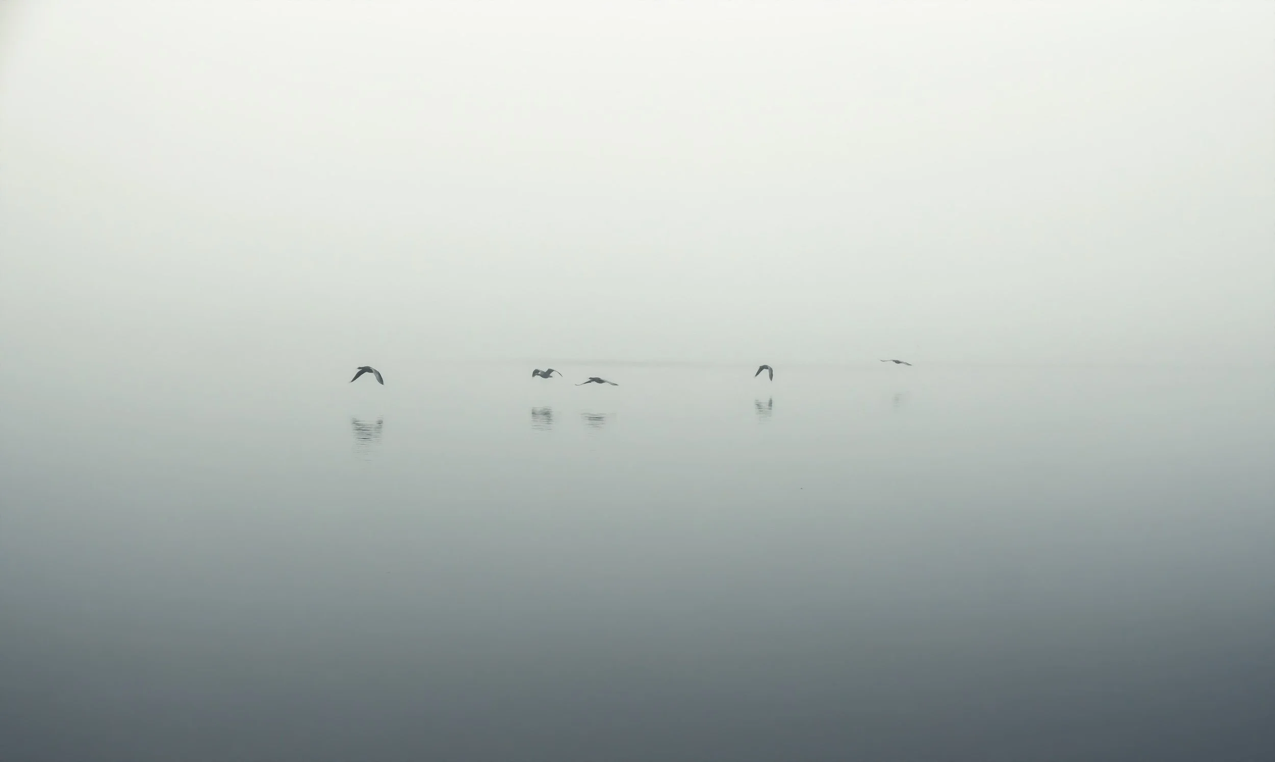 lake-district-fog-derwentwater.jpg