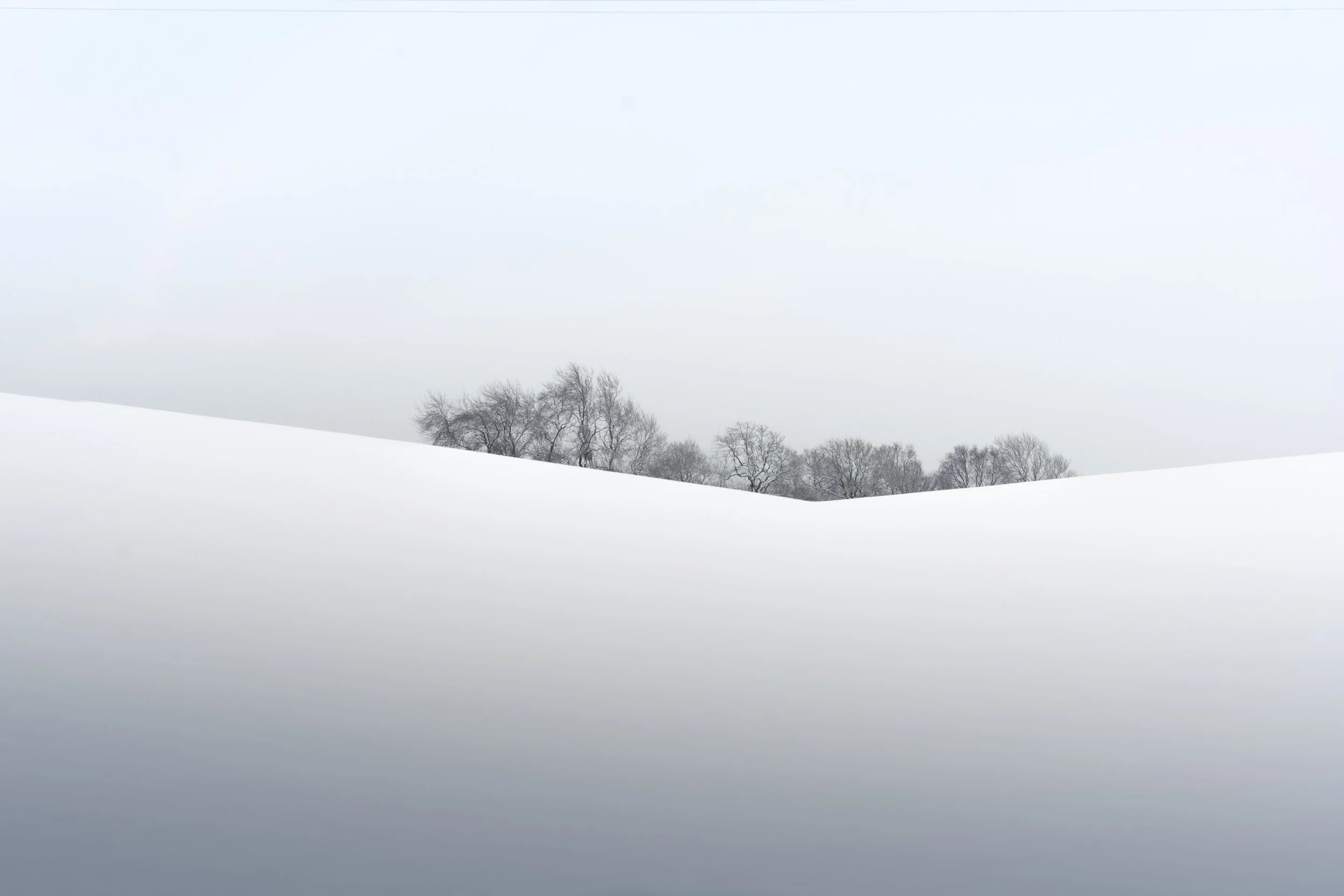 treetops-snowy-valley.jpg