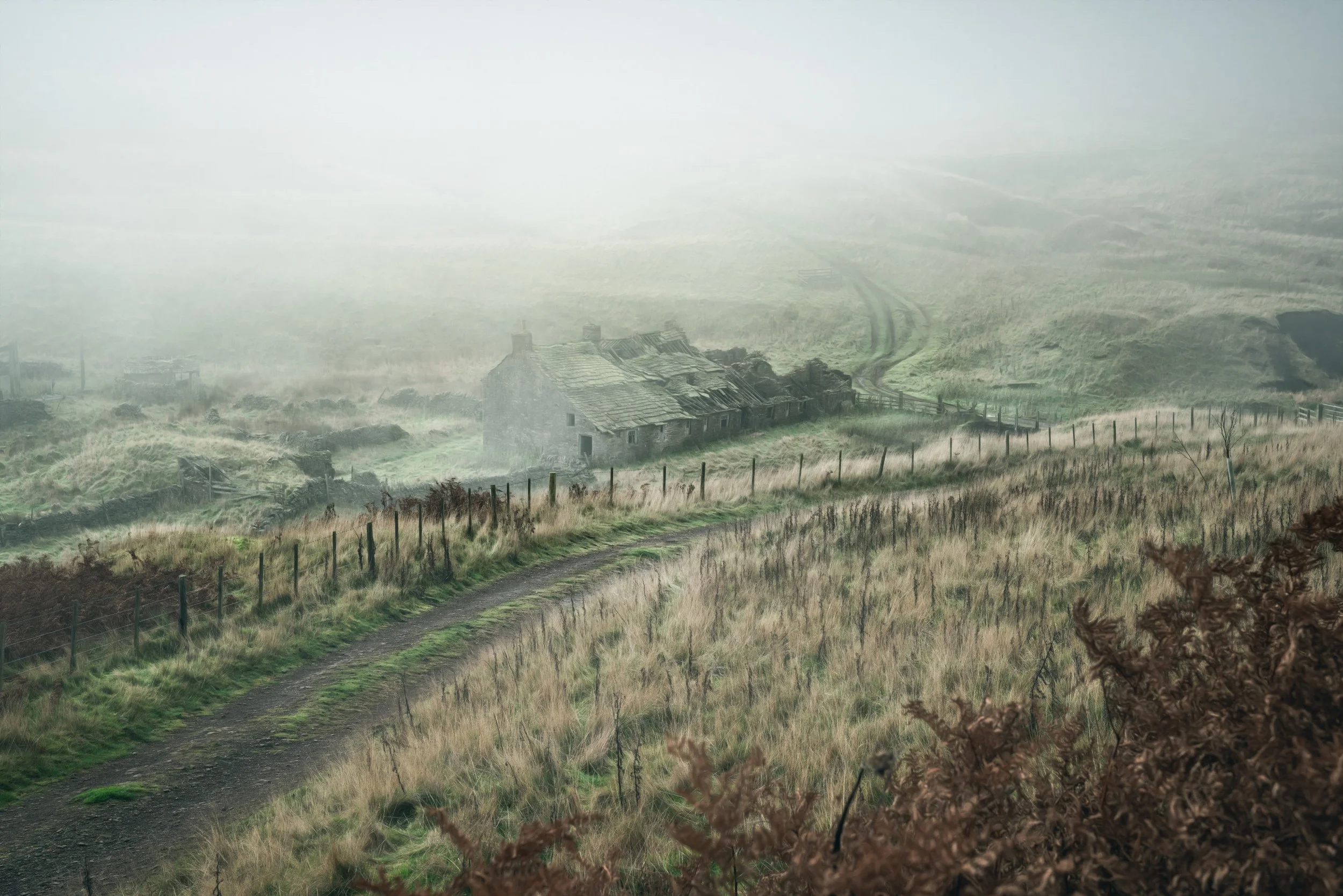 cottage-track-mist.jpg