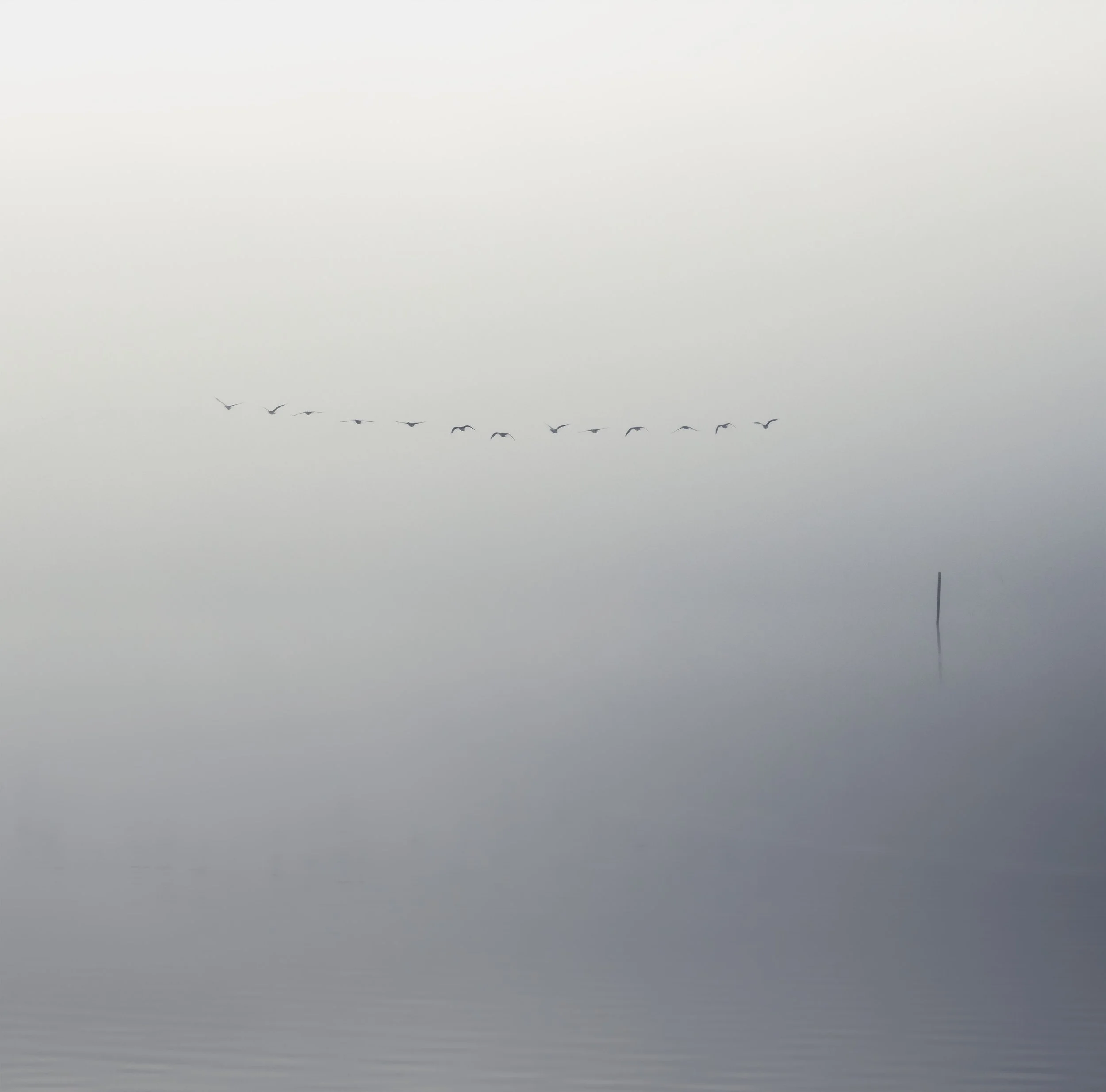 Form_giclee_print2.jpg