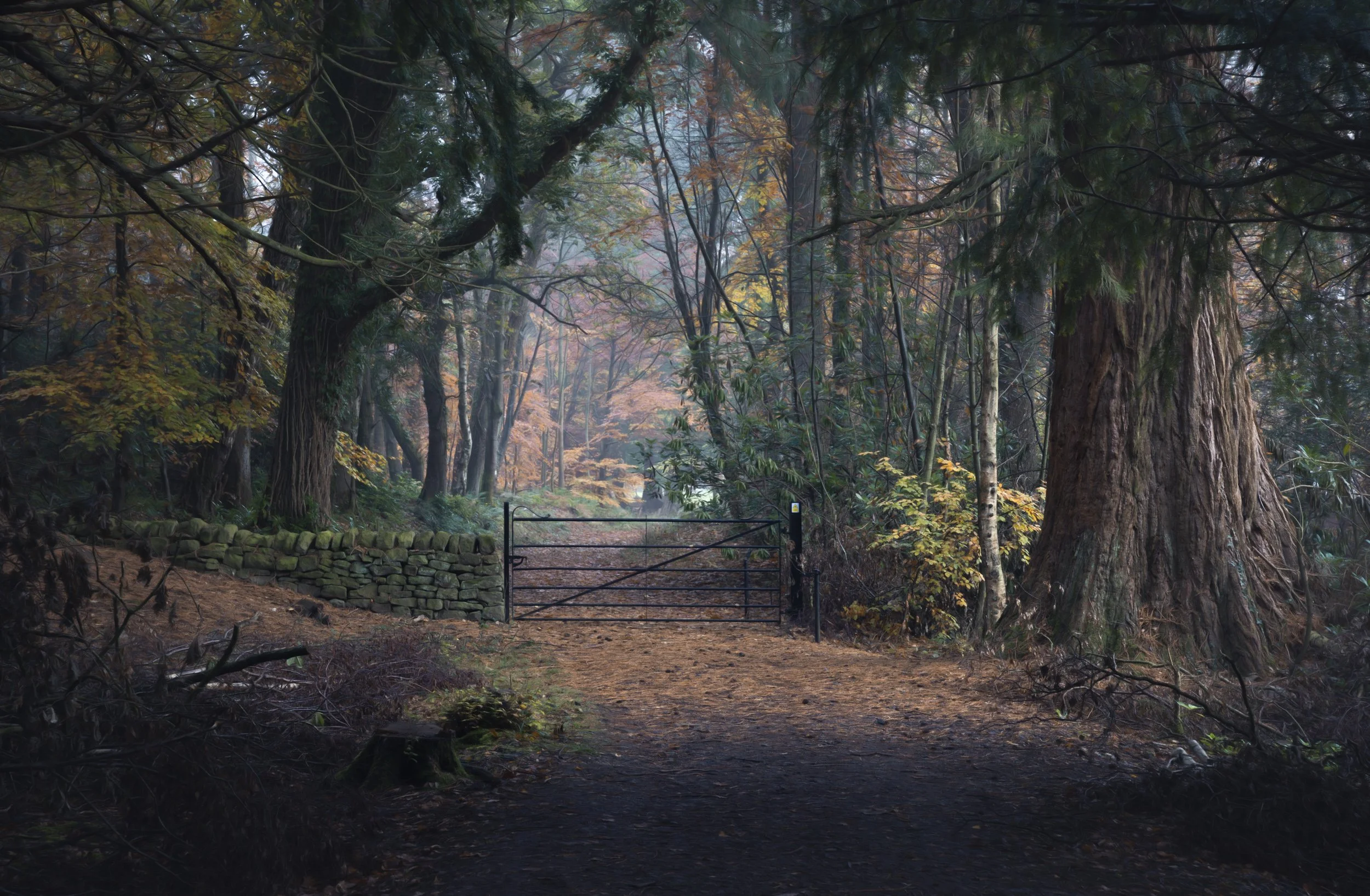 sequioa-woodland-trail-gate.jpg