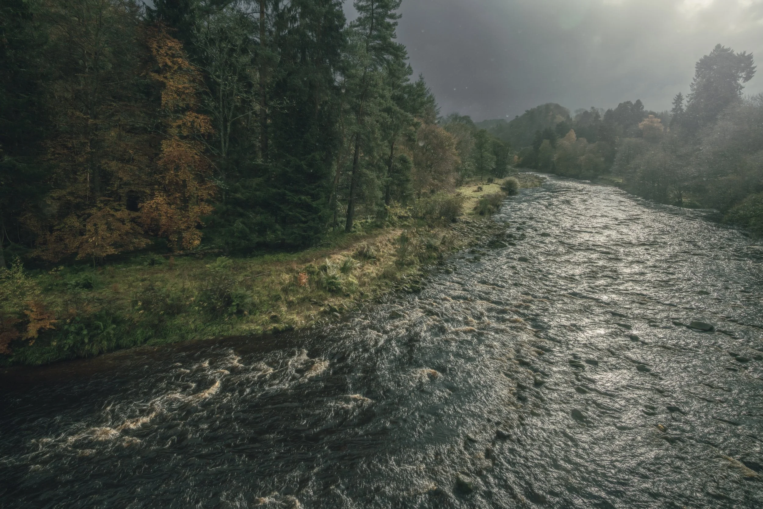 autumn-river-pine-woodland.jpg