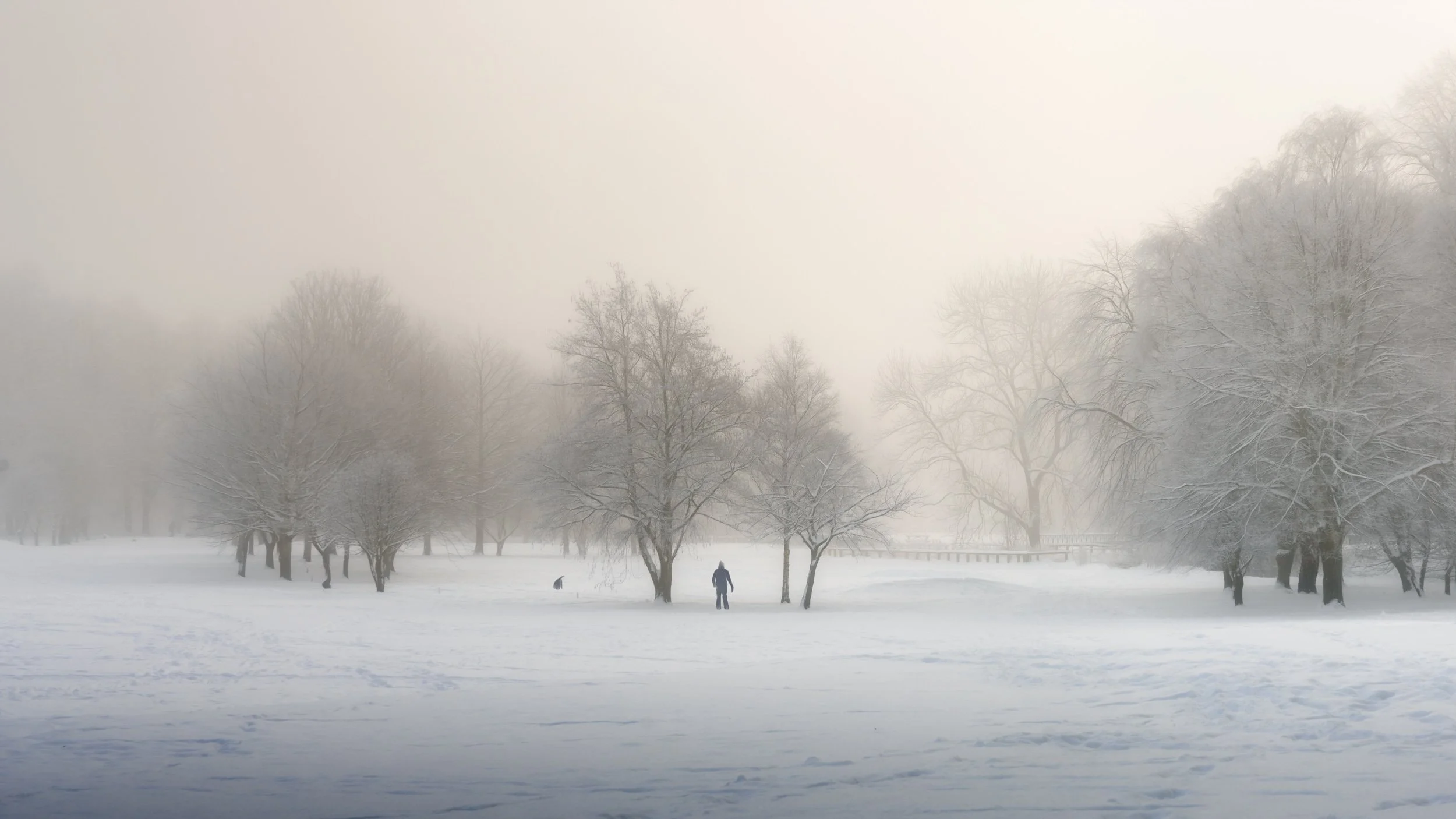dog-walking-misty-snowy scene.jpg