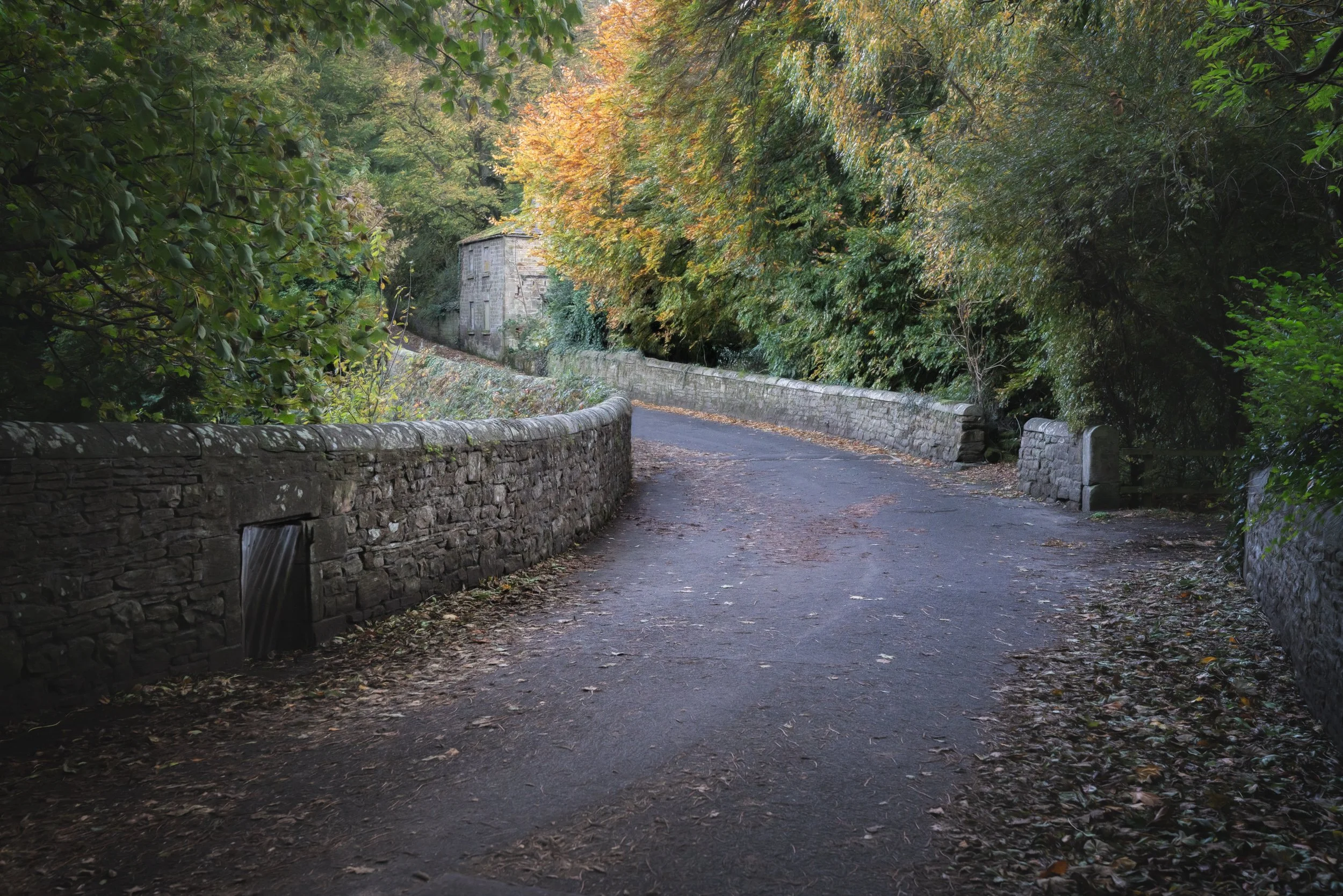 country-road-house-autumn.jpg