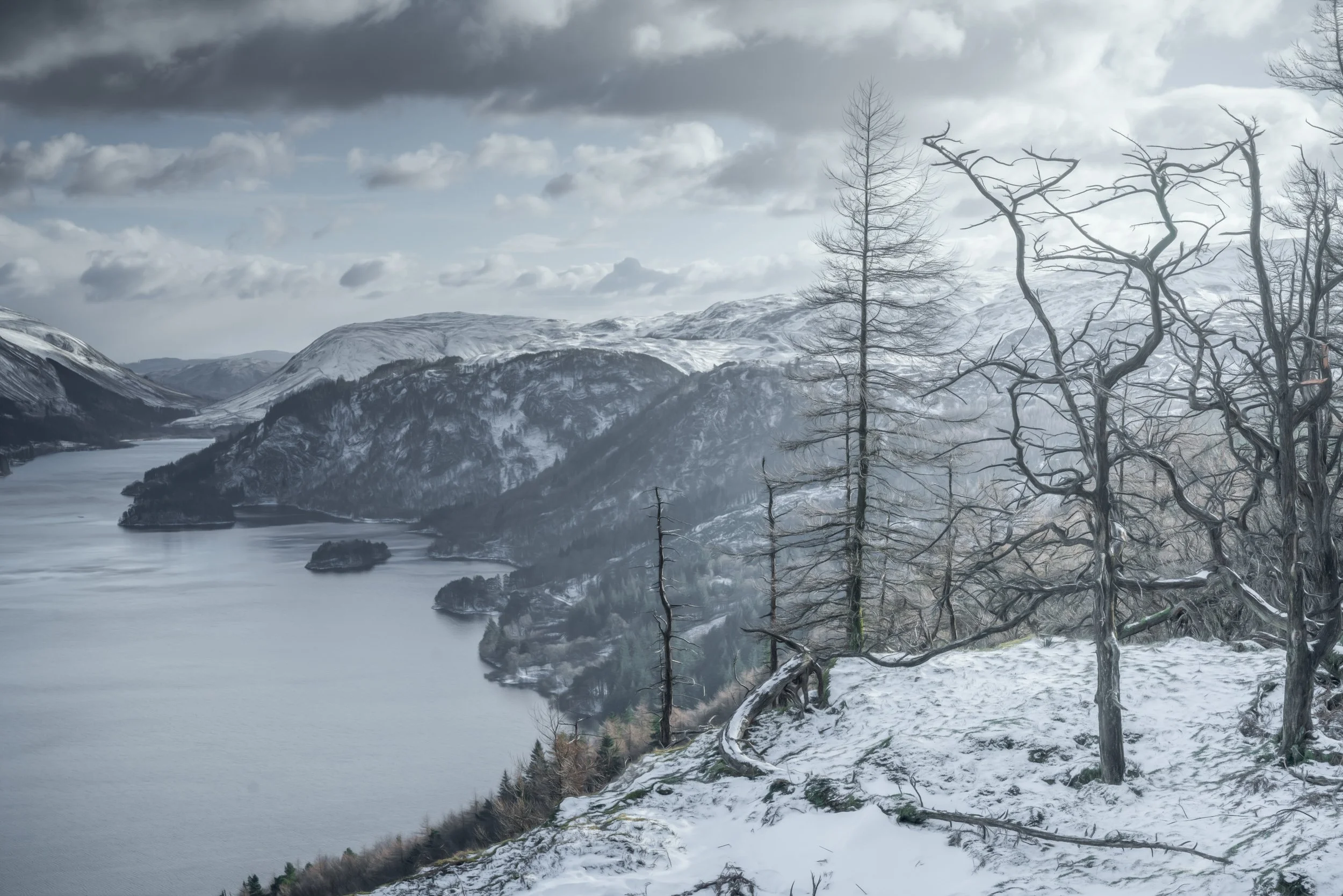 trees-snow-lakes-mountains.jpg