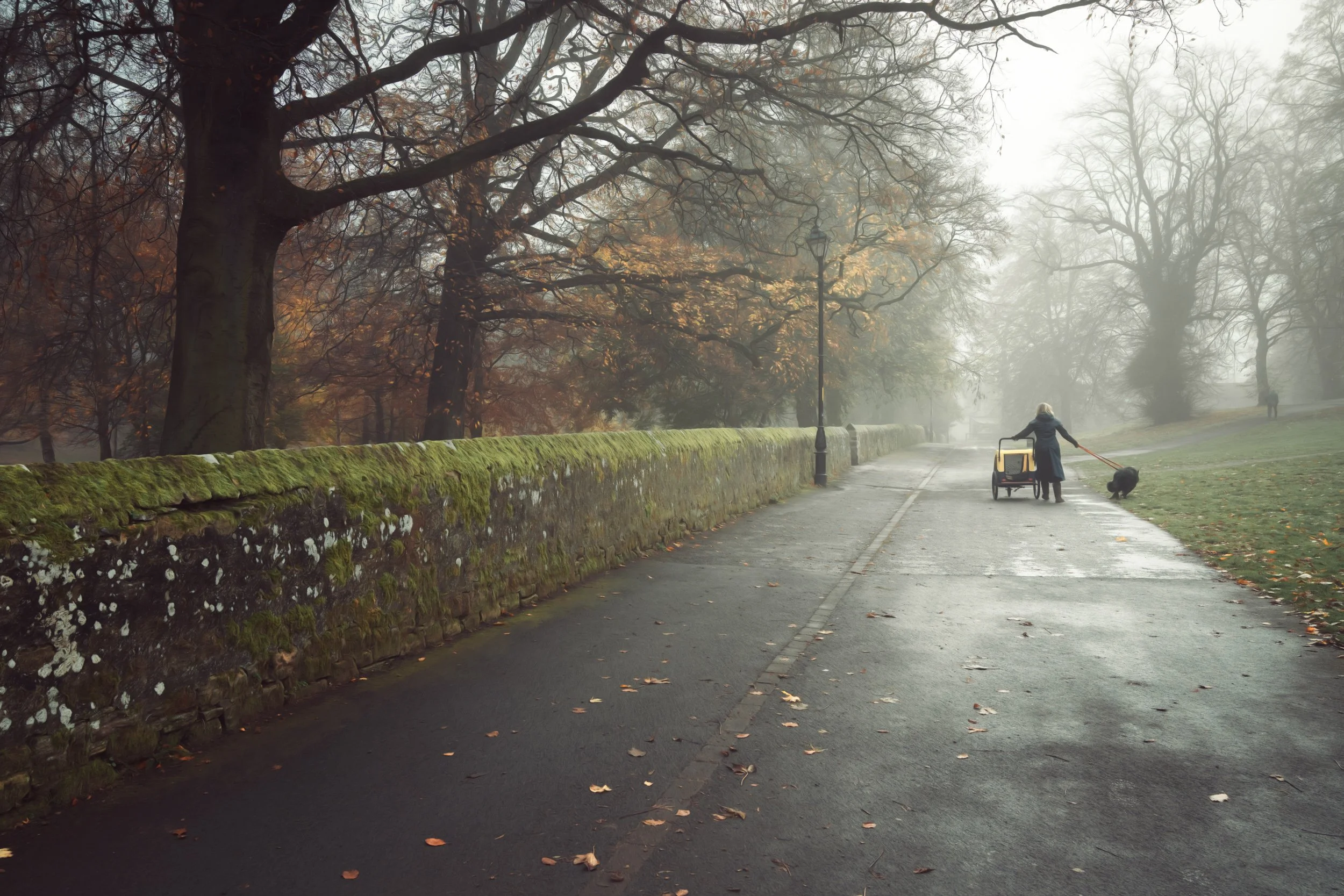 pedestrian-walking-autumn-park.jpg