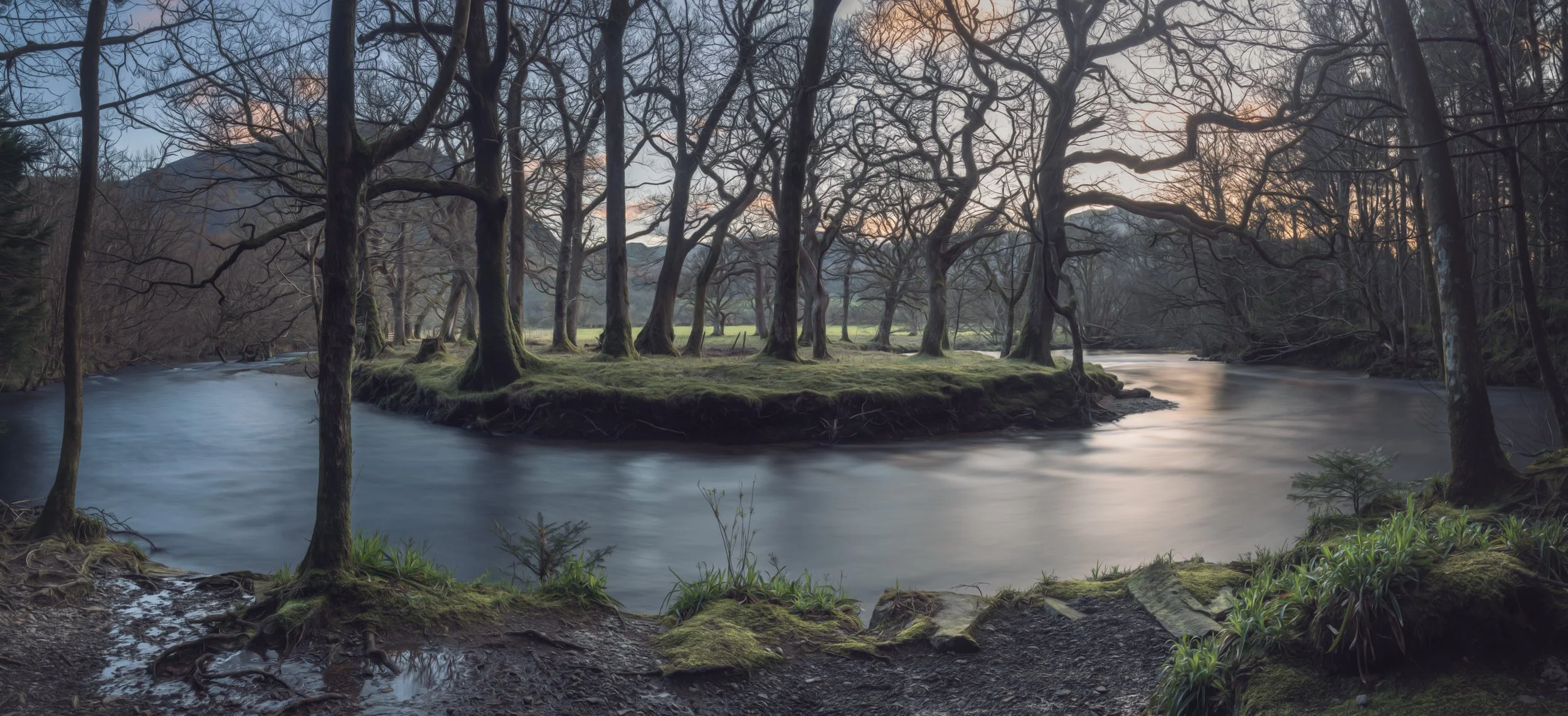 river-bare-trees.jpg