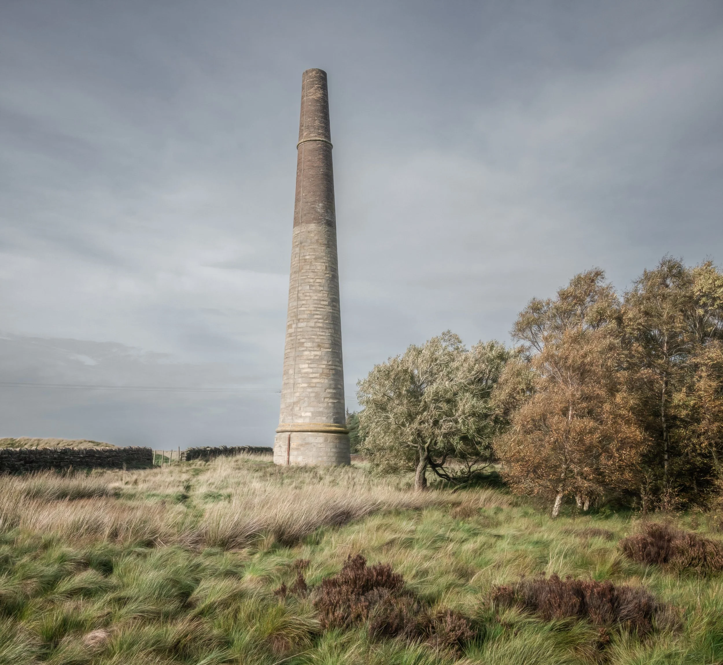 chimney-field-trees.jpg