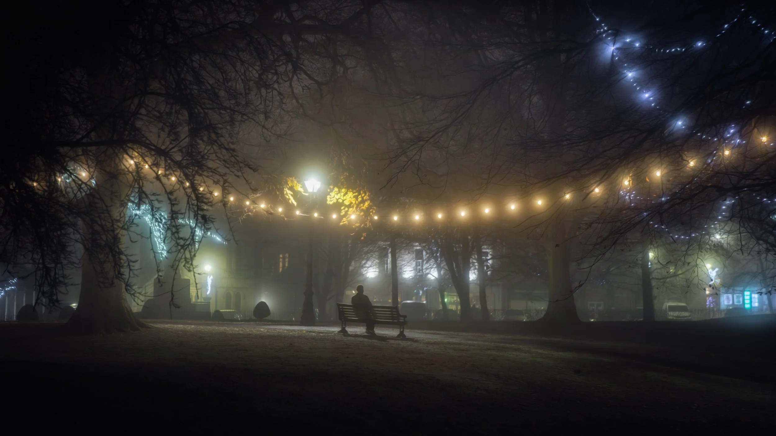 christmas-lights-parkland.jpg