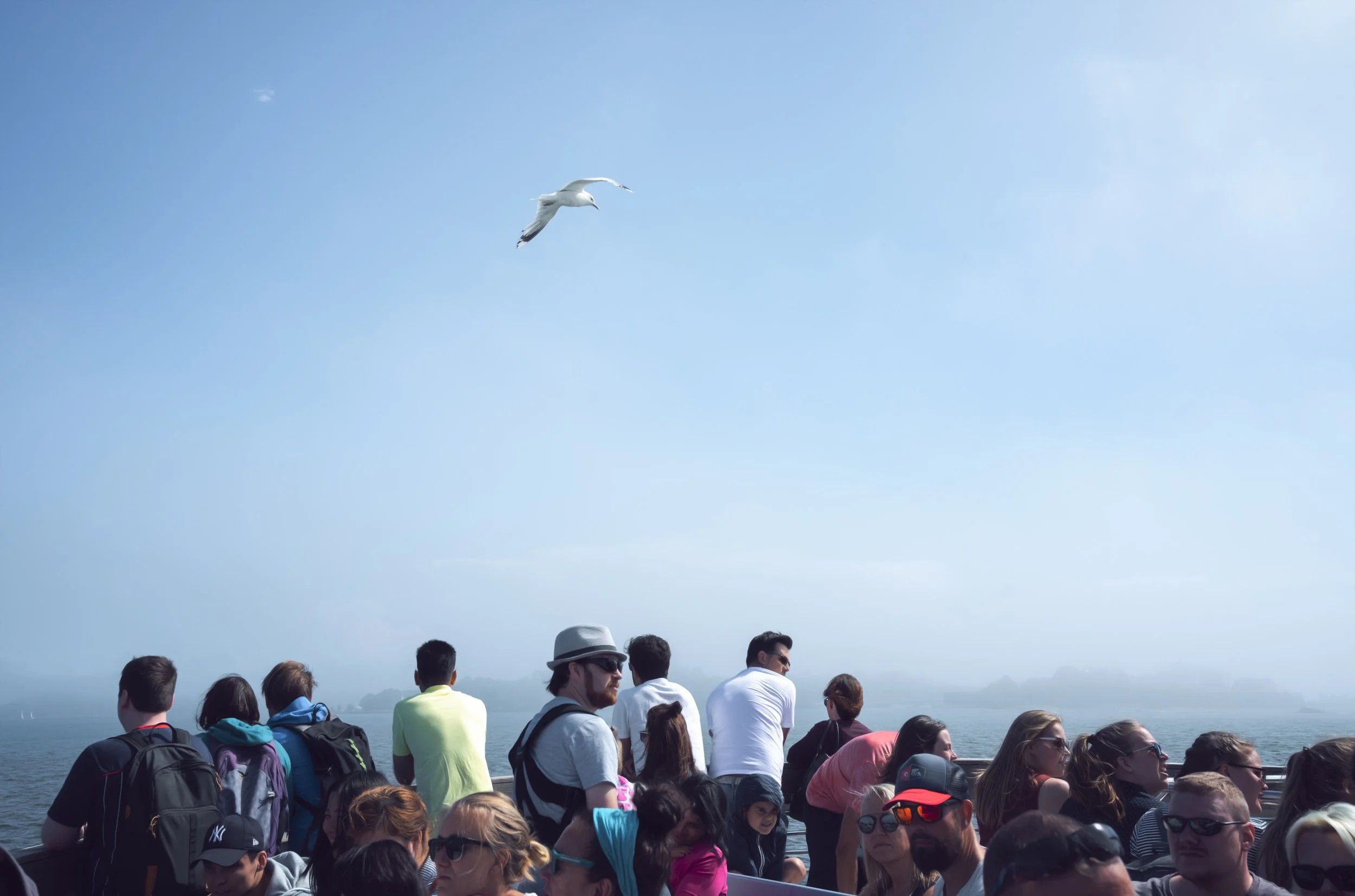 passengers-boat-blue-seagull.jpg