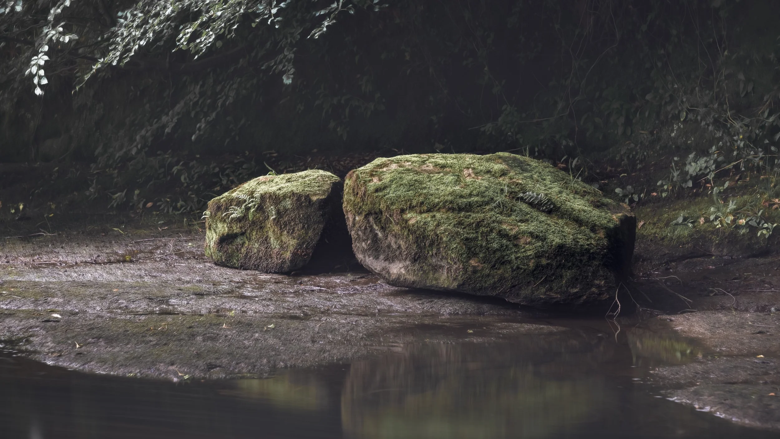 rocks-riverside-moss.jpg