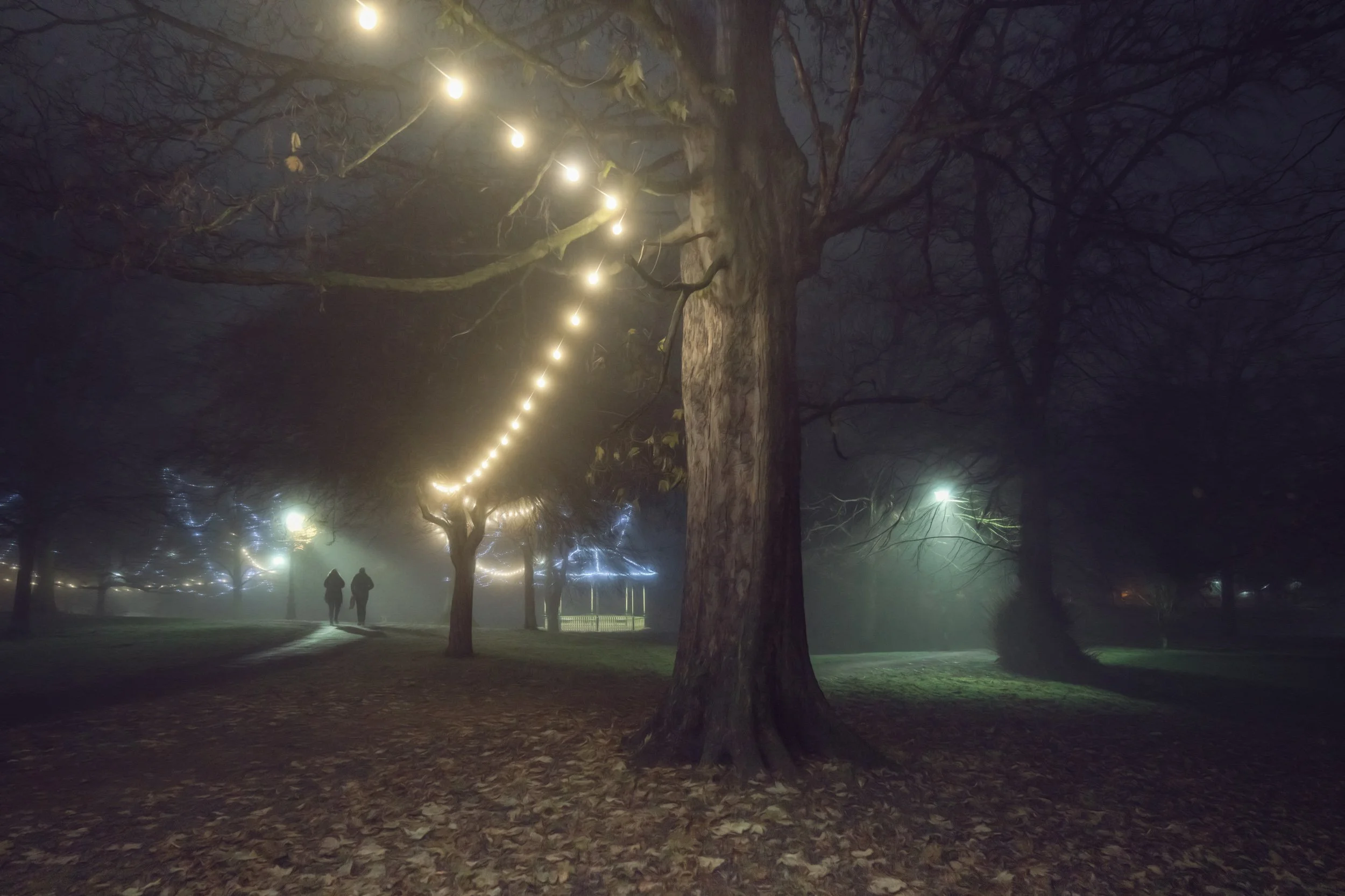night-park-lights.jpg