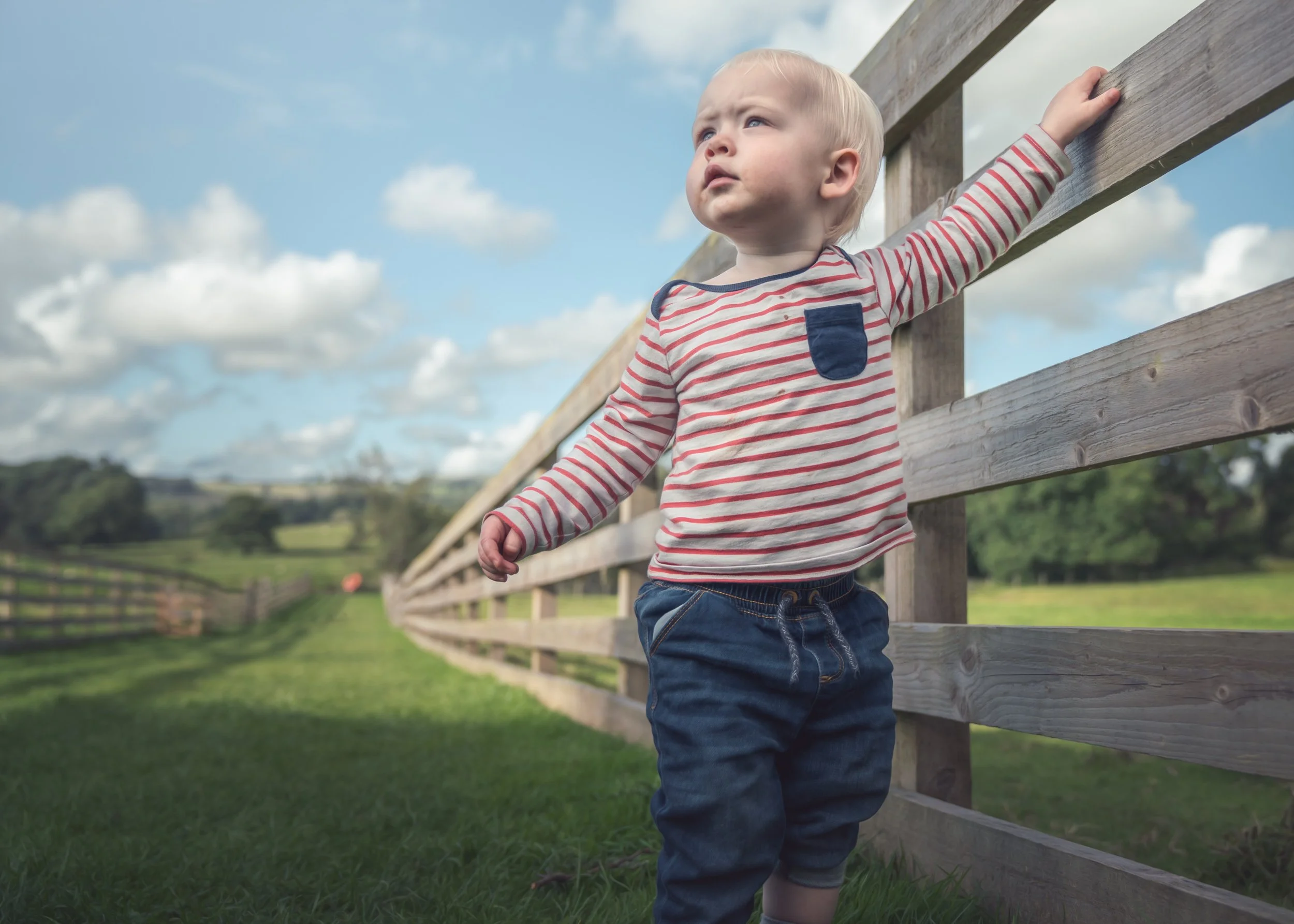 boy-walking-fence-fields.jpg
