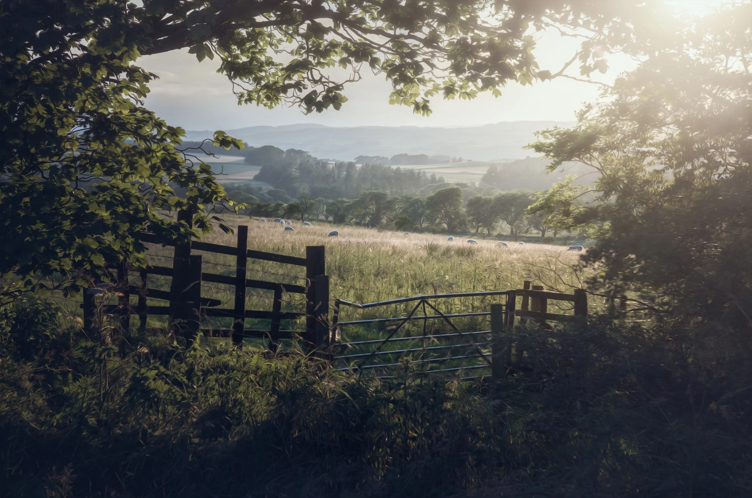 green-fields-sunlight.jpg