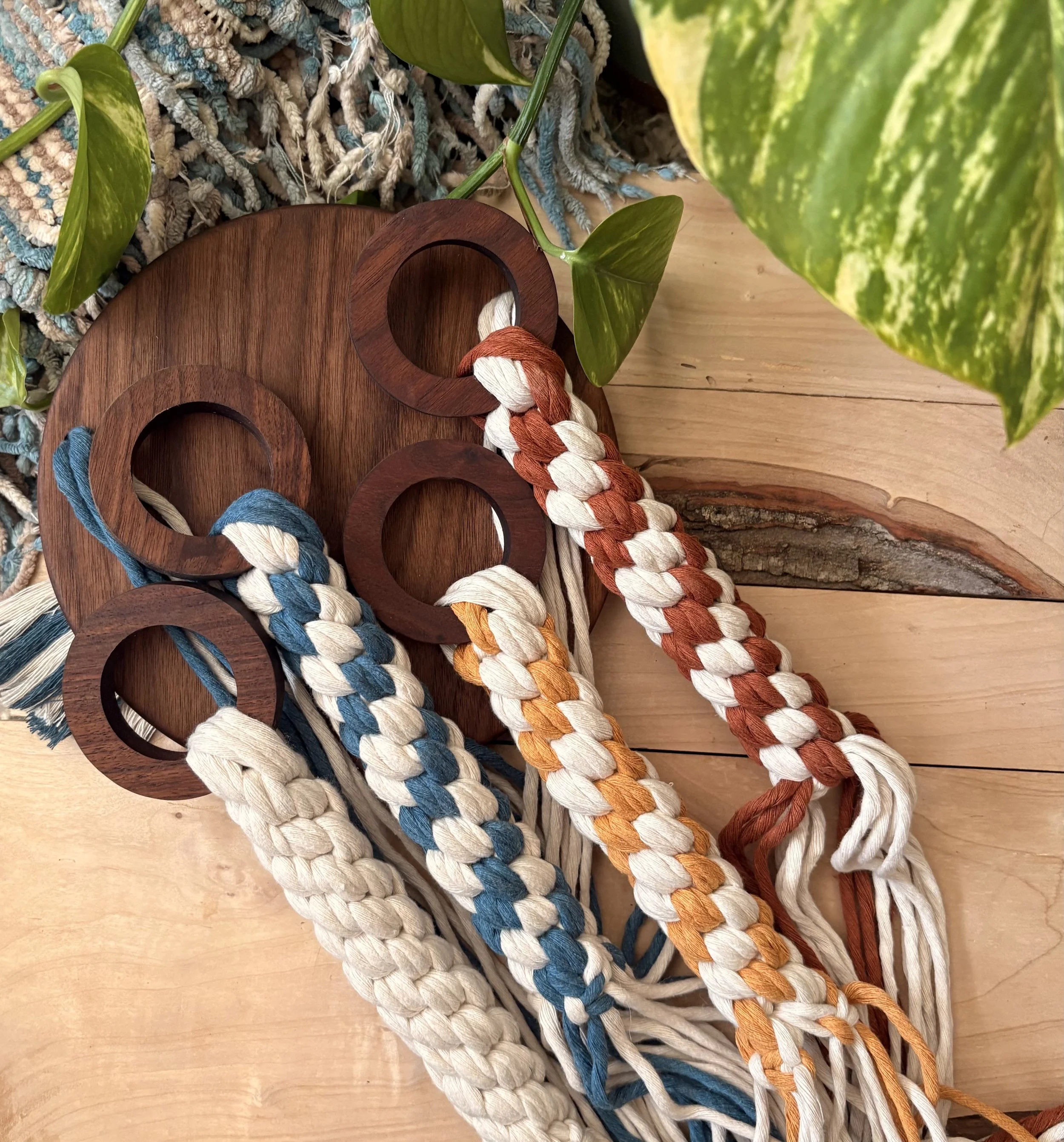 The Original Plant Hanger