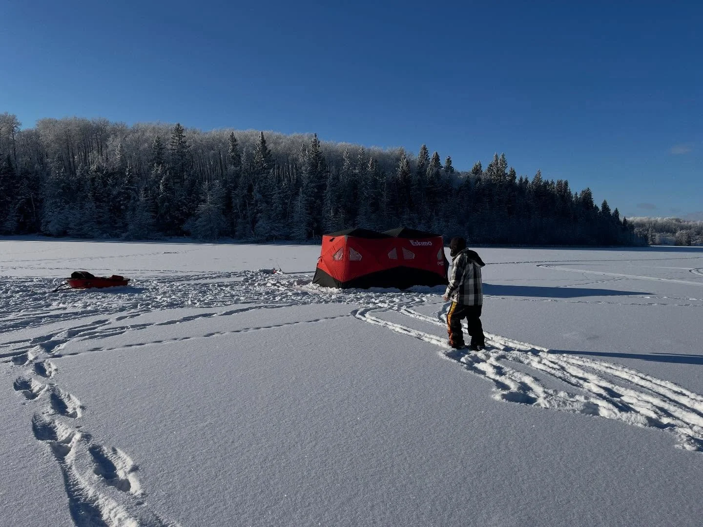 While I haven&rsquo;t been able to get out on the ice yet, the old man went on a Splake mission. 
Success! Nice one @errolfisher75

#splake #eskimo #icefishing #snow #jawjacker