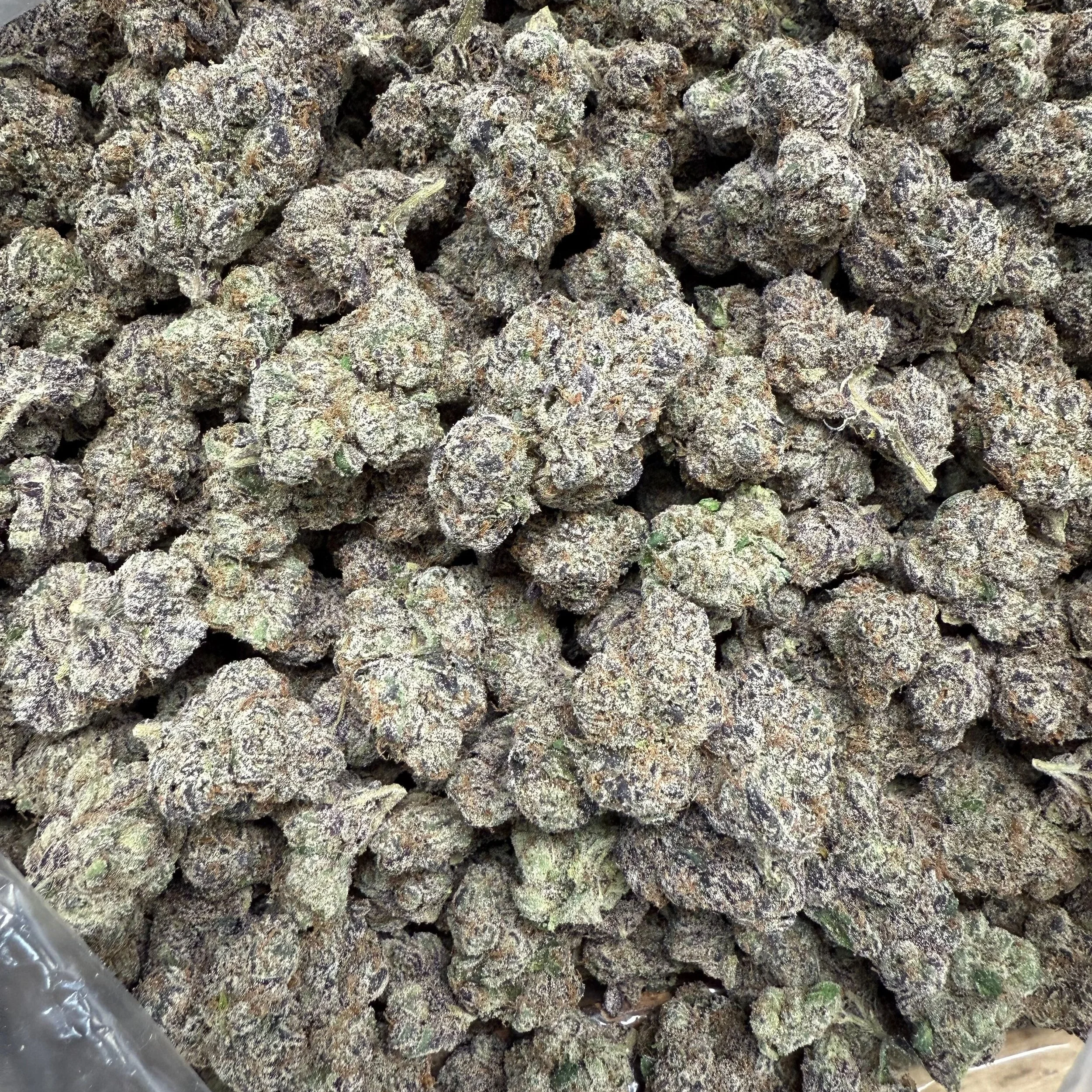 lemon+cherry+gelato+bulk+exotic.png