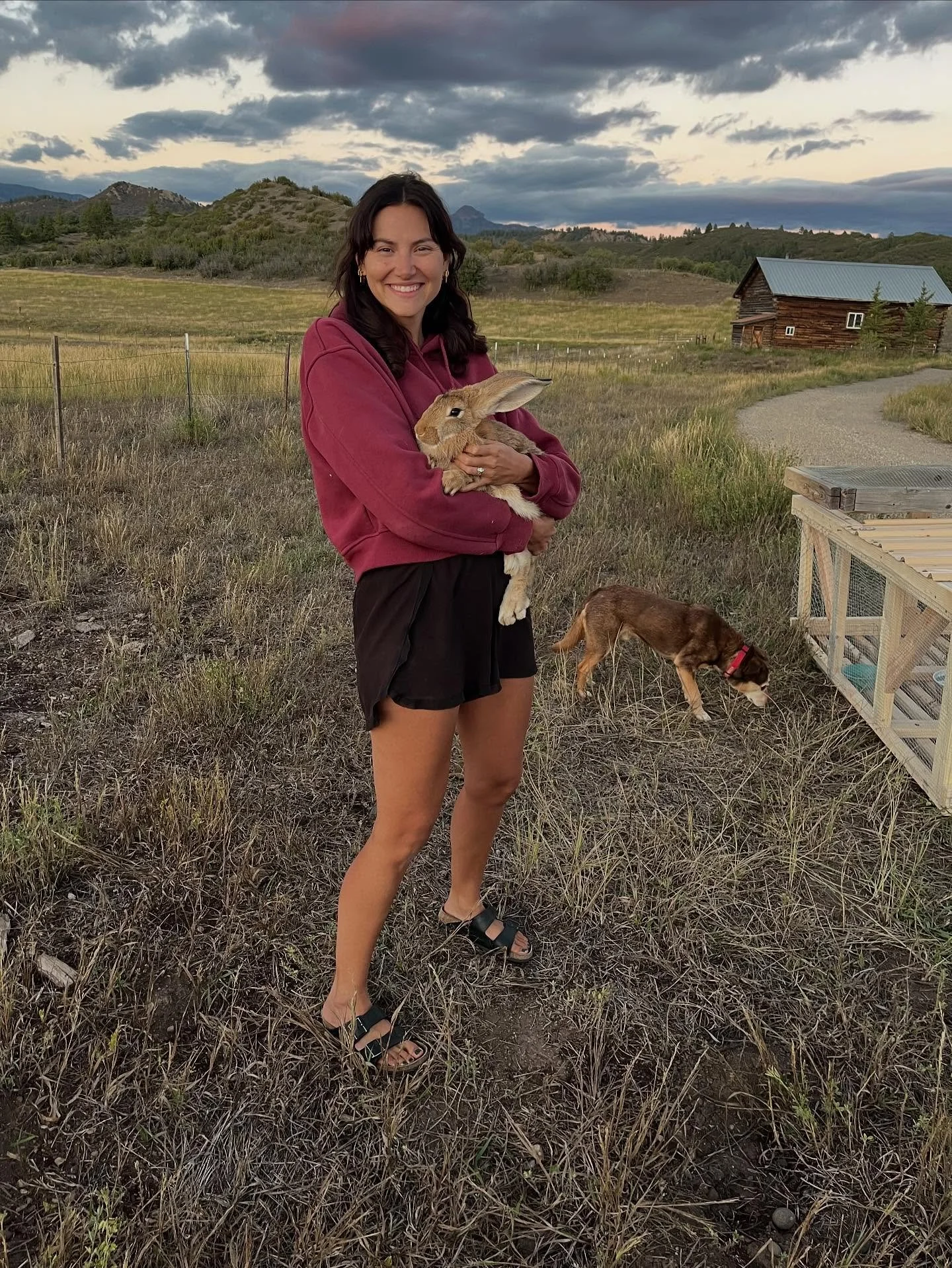 Meet Hop Solo, our Flemish Giant rabbit with the swagger of a space smuggler and the appetite to match. At just 12 pounds, he&rsquo;s technically still a rookie &mdash; but already large enough to make visitors ask if we&rsquo;re raising kangaroos no