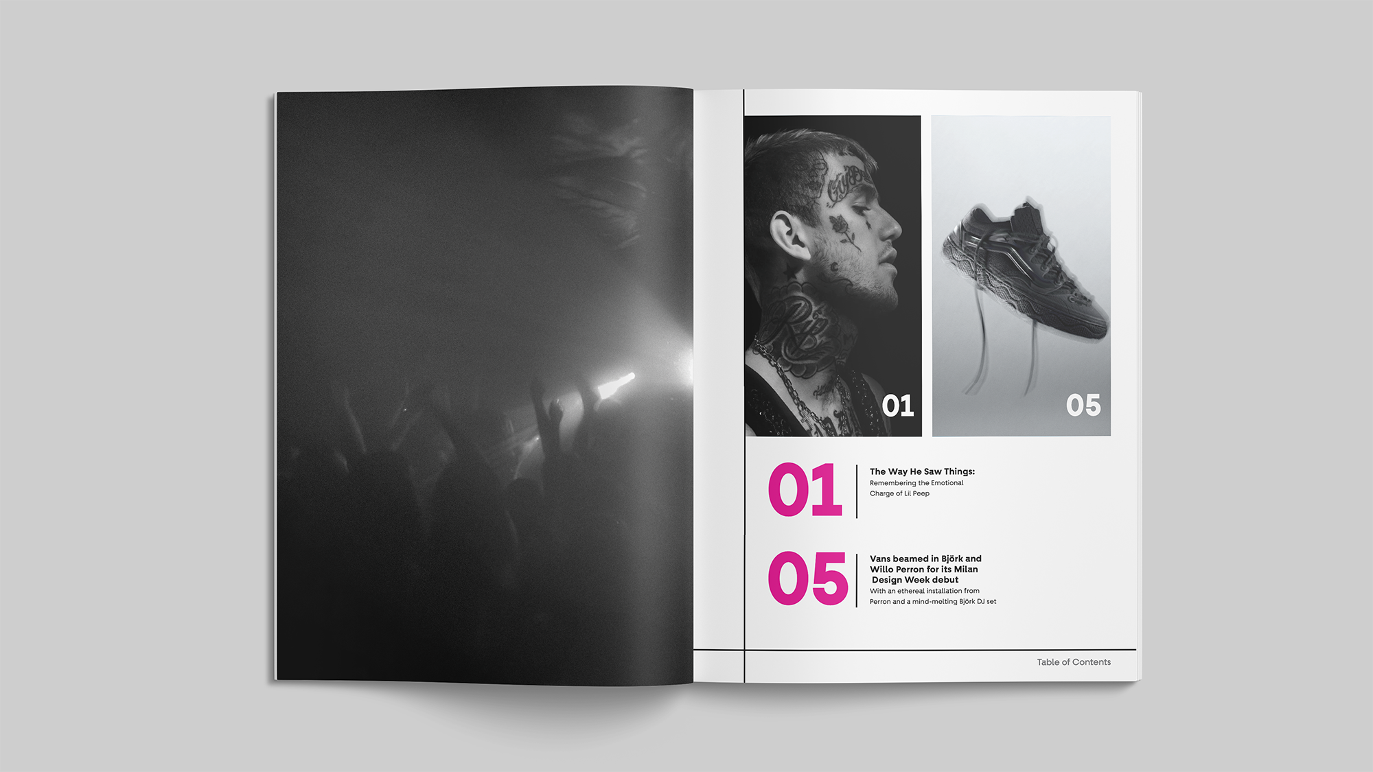 Table of Contents.png