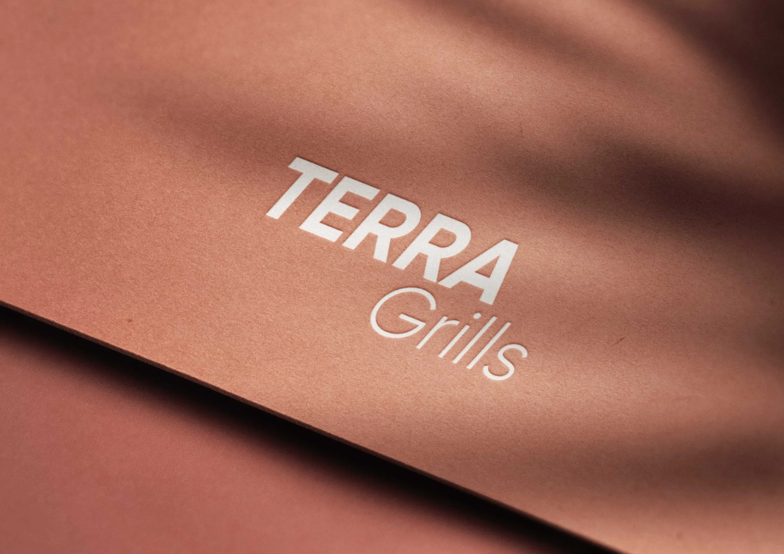 Terra Grills logo from a brand identity design project