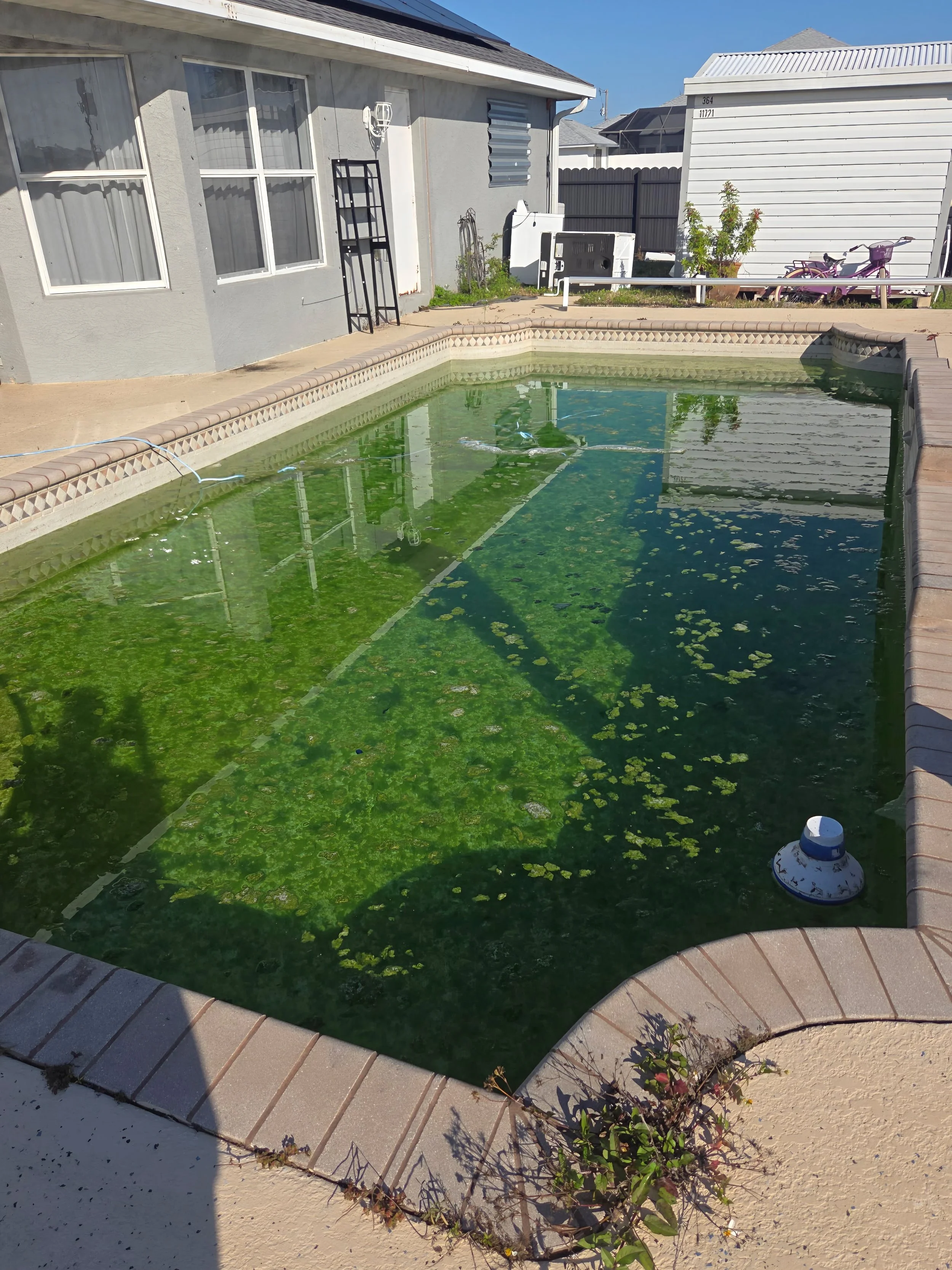 Why Your Pool Turns Green So Fast in Southwest Florida (And How to Stop It)