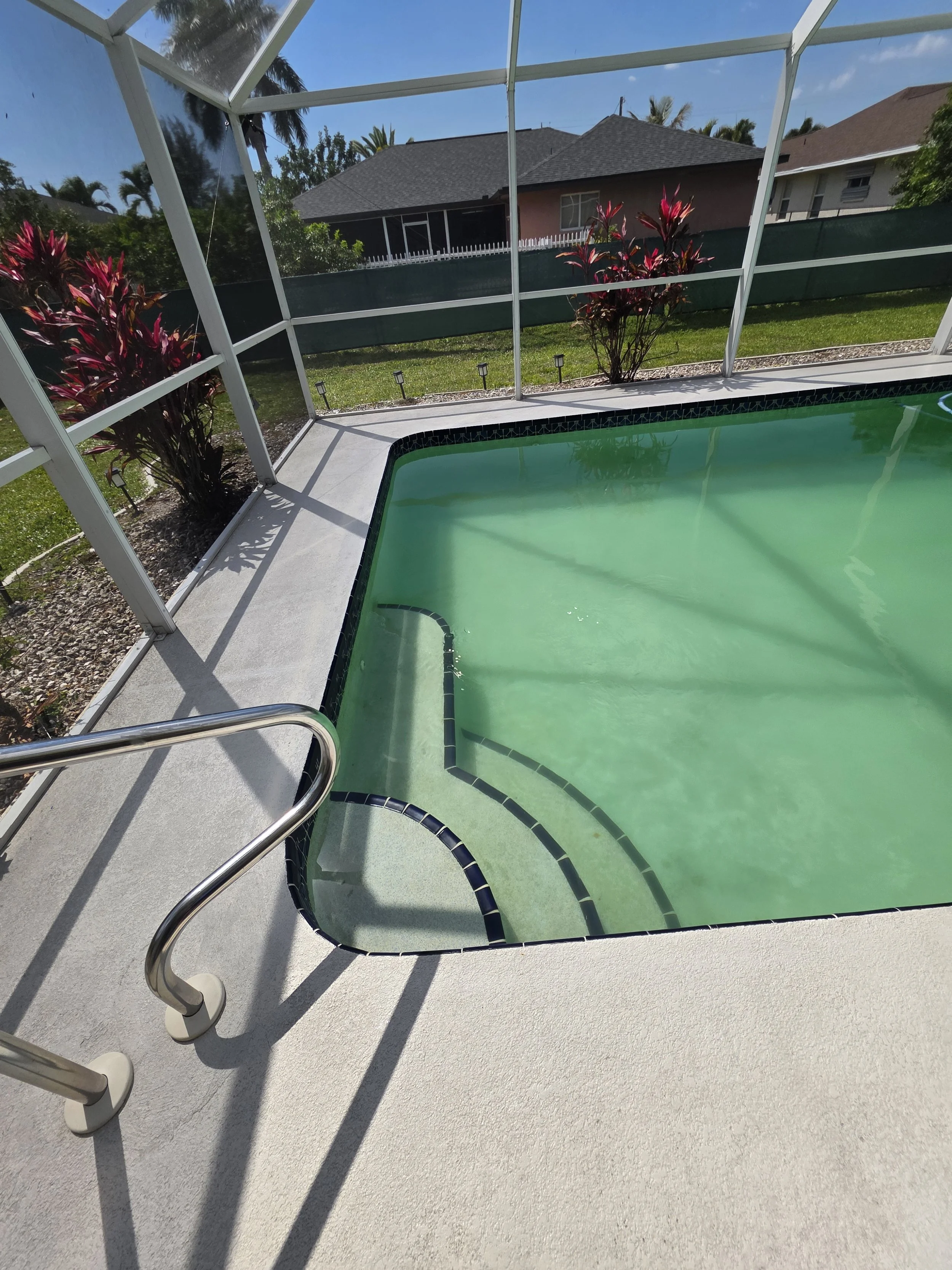 🌿 Algae Season Is Back in South Florida — Is Your Pool Ready? 