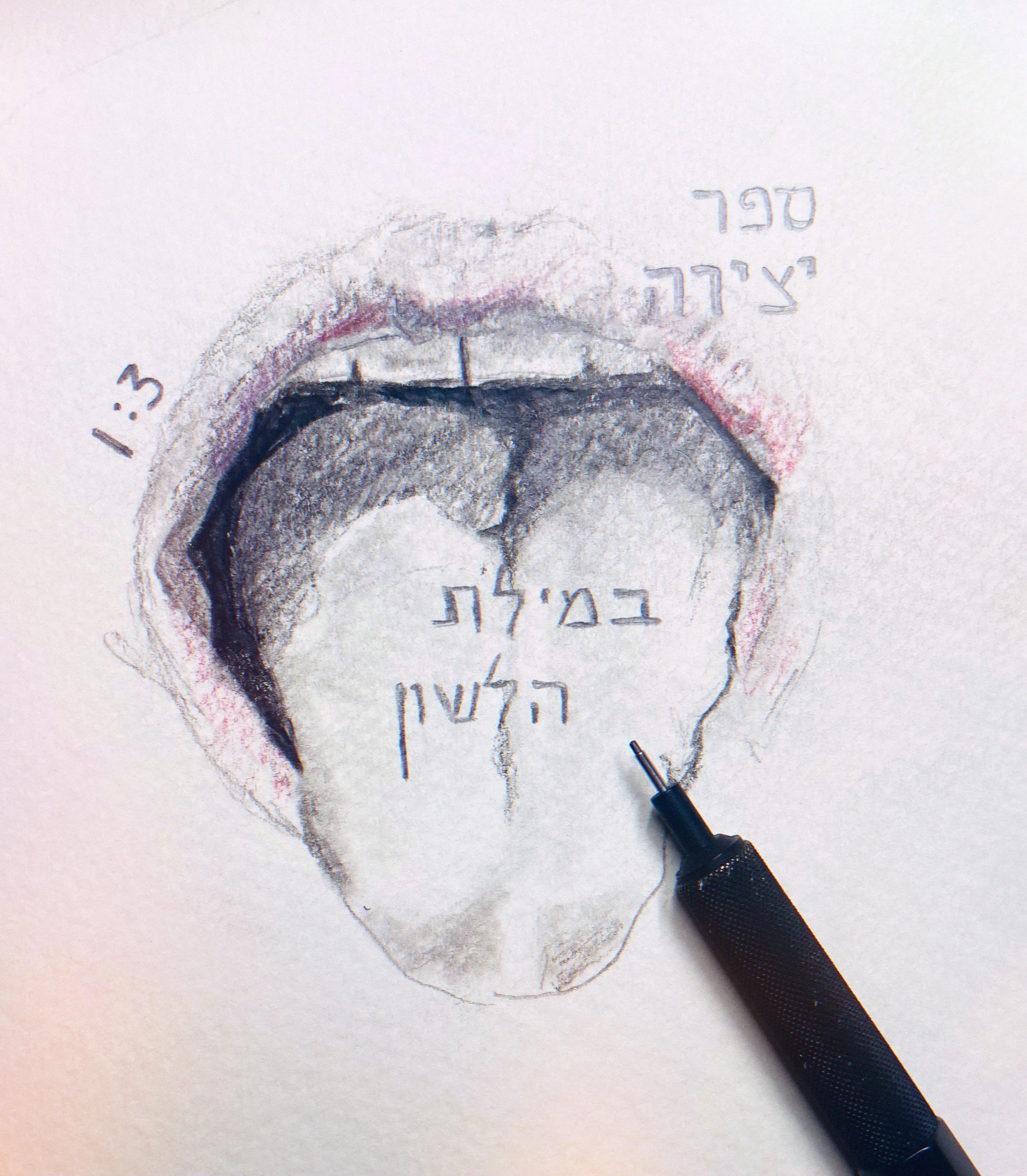 Courban_D_SEFER YETZIRAH_2024_graphite on paper_9 inches x 12 inches.JPG