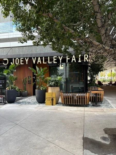 Joey 1.jpg