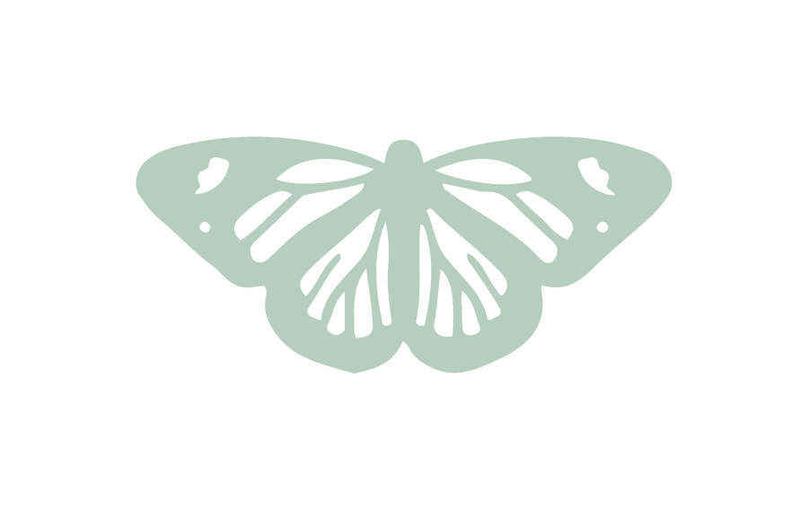 A stylized illustration of a butterfly with light mint green wings against a black background.
