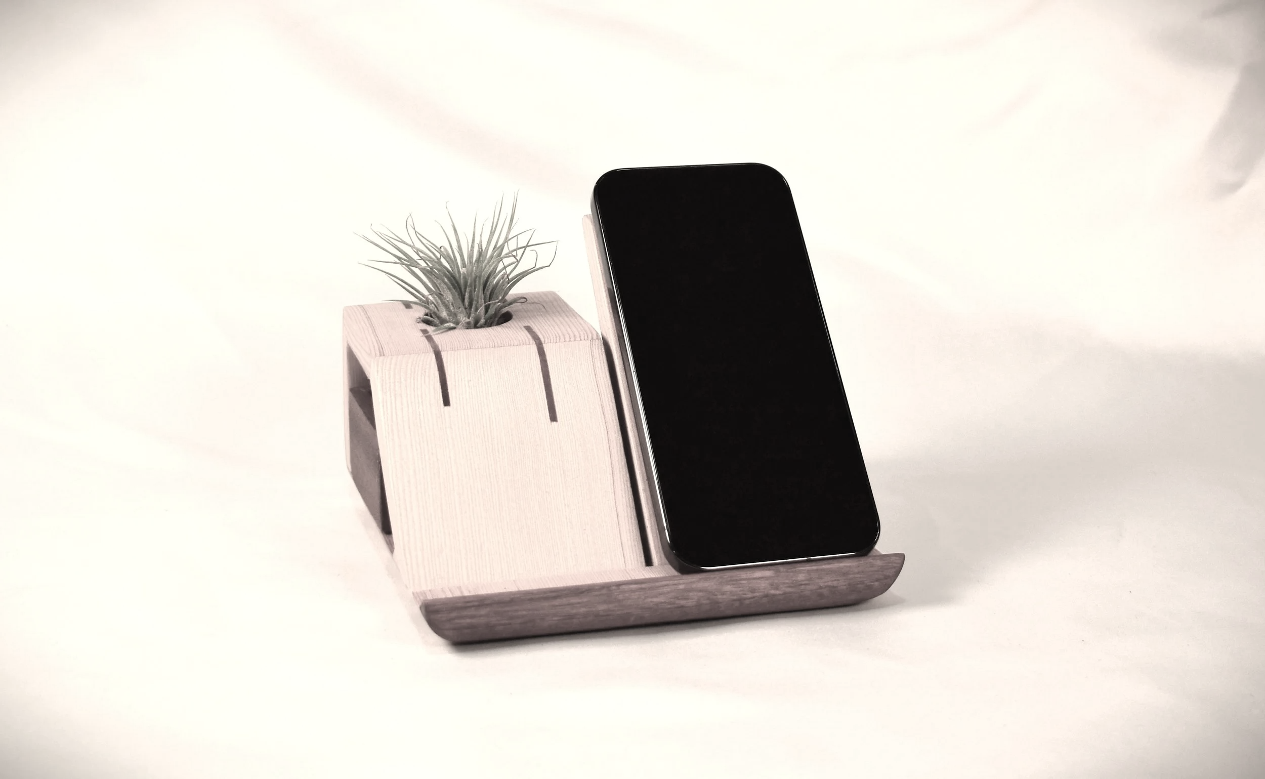 Looking Backward, Looking Forward