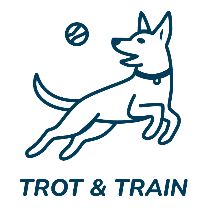 TROT &amp; TRAIN