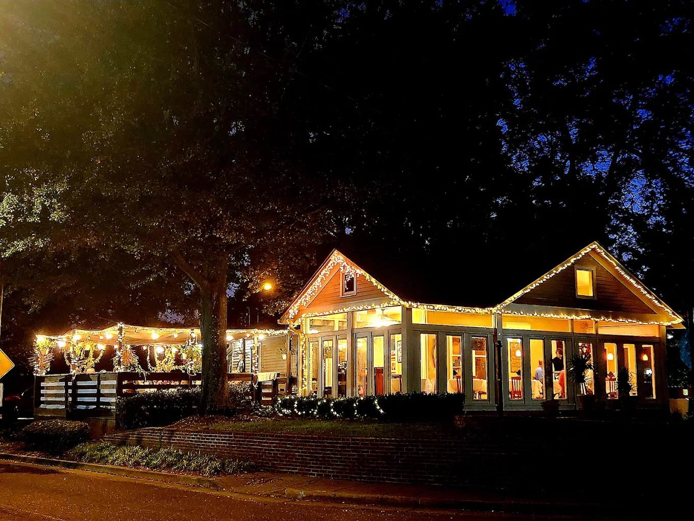A house decorated with holiday lights and ornaments at night, with large trees and a dark sky in the background.
