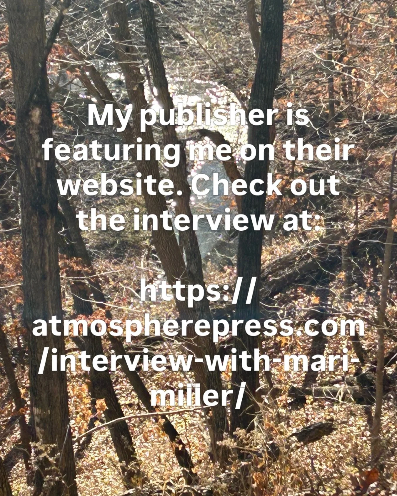My publisher (@atmospherepress) has featured me on their website. Check out my interview at https://atmospherepress.com/interview-with-mari-miller/.