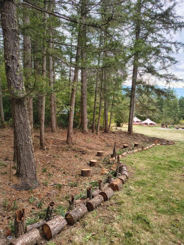 Permaculture water techniques at Fifth Dimension Enchanted Forest September 2026