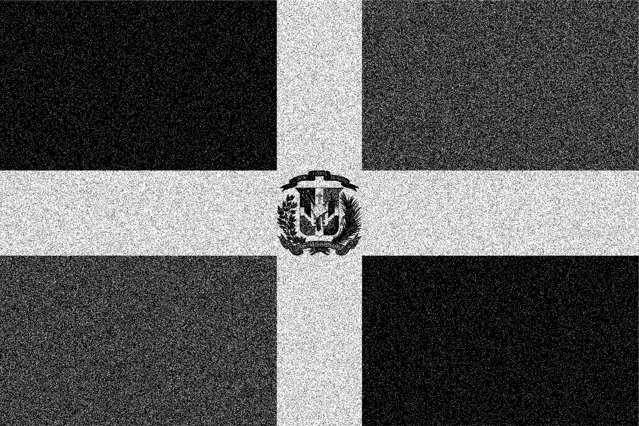DR Flag BW Noise.jpg