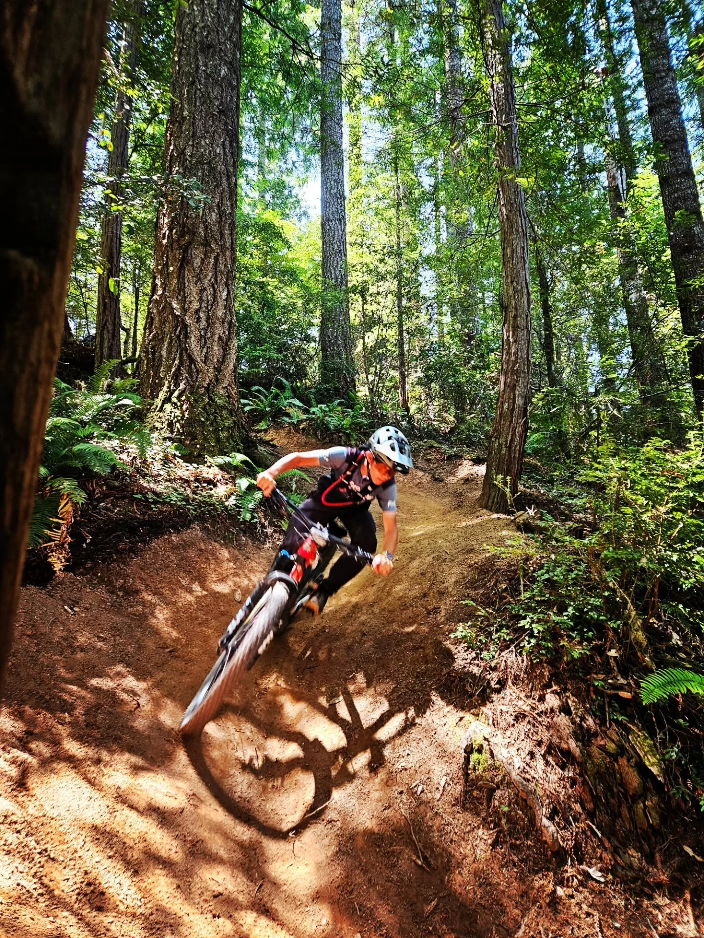 Smores ✔️ 

Orange -cinnamon rolls over a 🔥 ✔️ 

Redwoods ✔️ 

Loamy berms ✔️ 

Our end-of- the -season Family Glamp was RAD

We already can't wait for the 2025-26 season!

#morekidsonbikes 
#moremomsonbikes