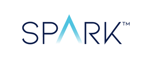 The logo for SPARKI features a stylized blue triangle with internal geometric patterns, flanked by the words 'SPARKI' in bold, dark blue font.