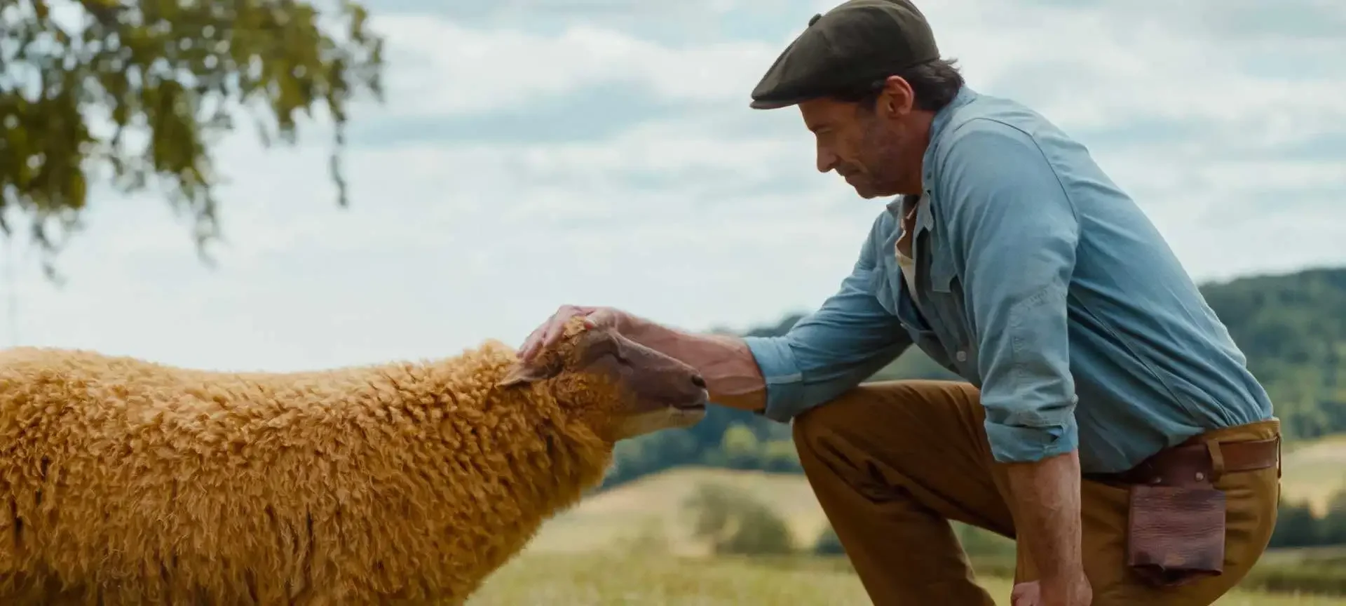 We're crazy for The Sheep Detectives! 