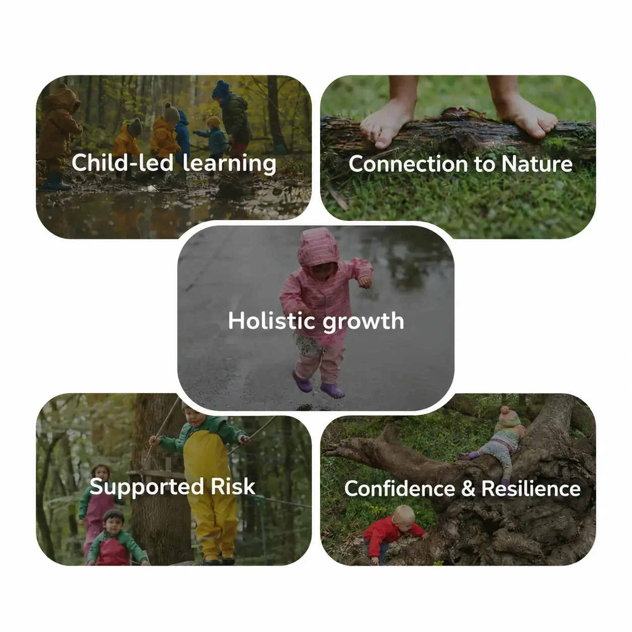 Five principles of Greenwood Trail Forest School in San Francisco: child-led learning, connection to nature, holistic growth, supported risk, and confidence and resilience.