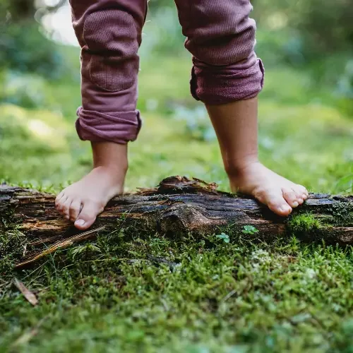 Child exploring nature barefoot on a fallen tree at Greenwood Trail Forest School in San Francisco.
