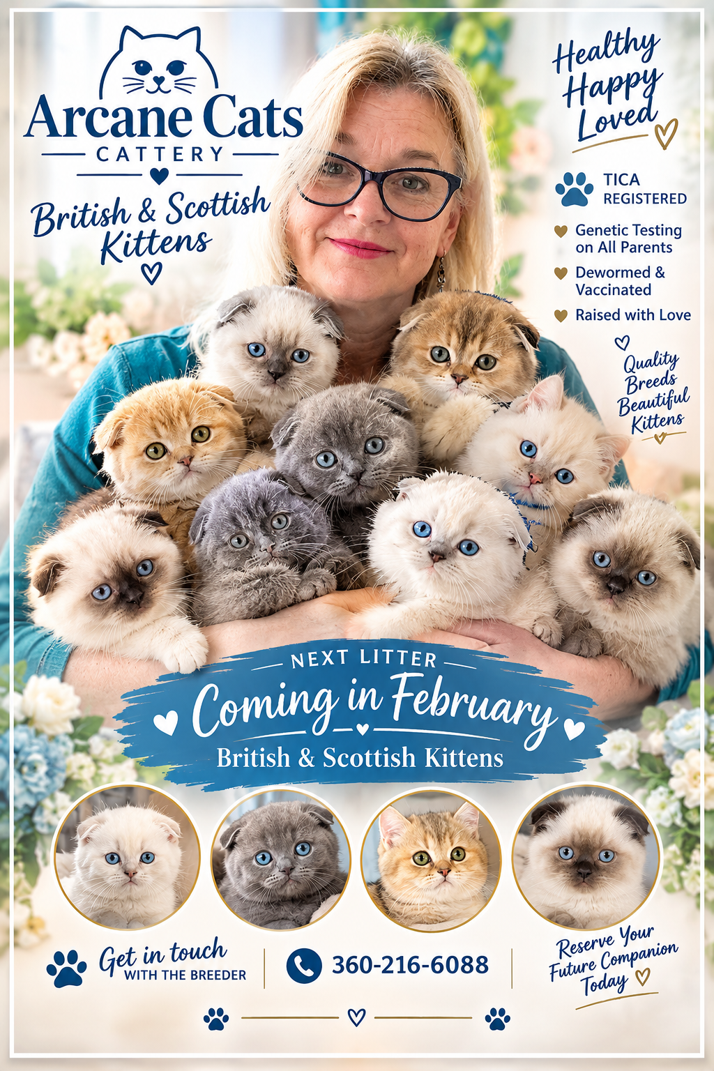 Arcane Cats  British and Scottish kittens poster