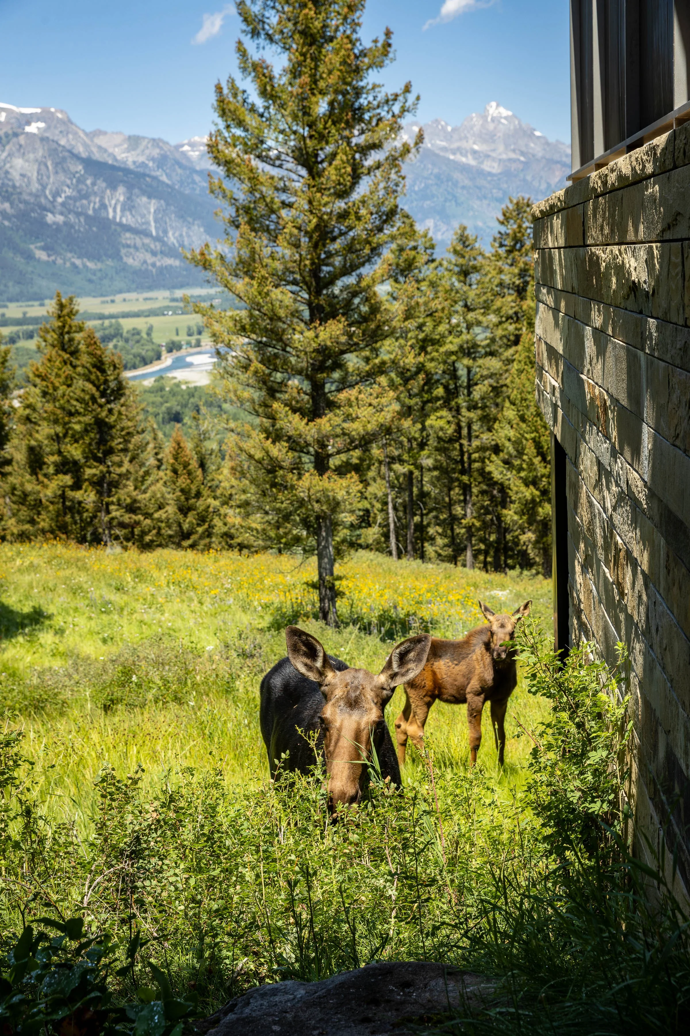 1405 W Hansen Peak HiRes-116.jpg