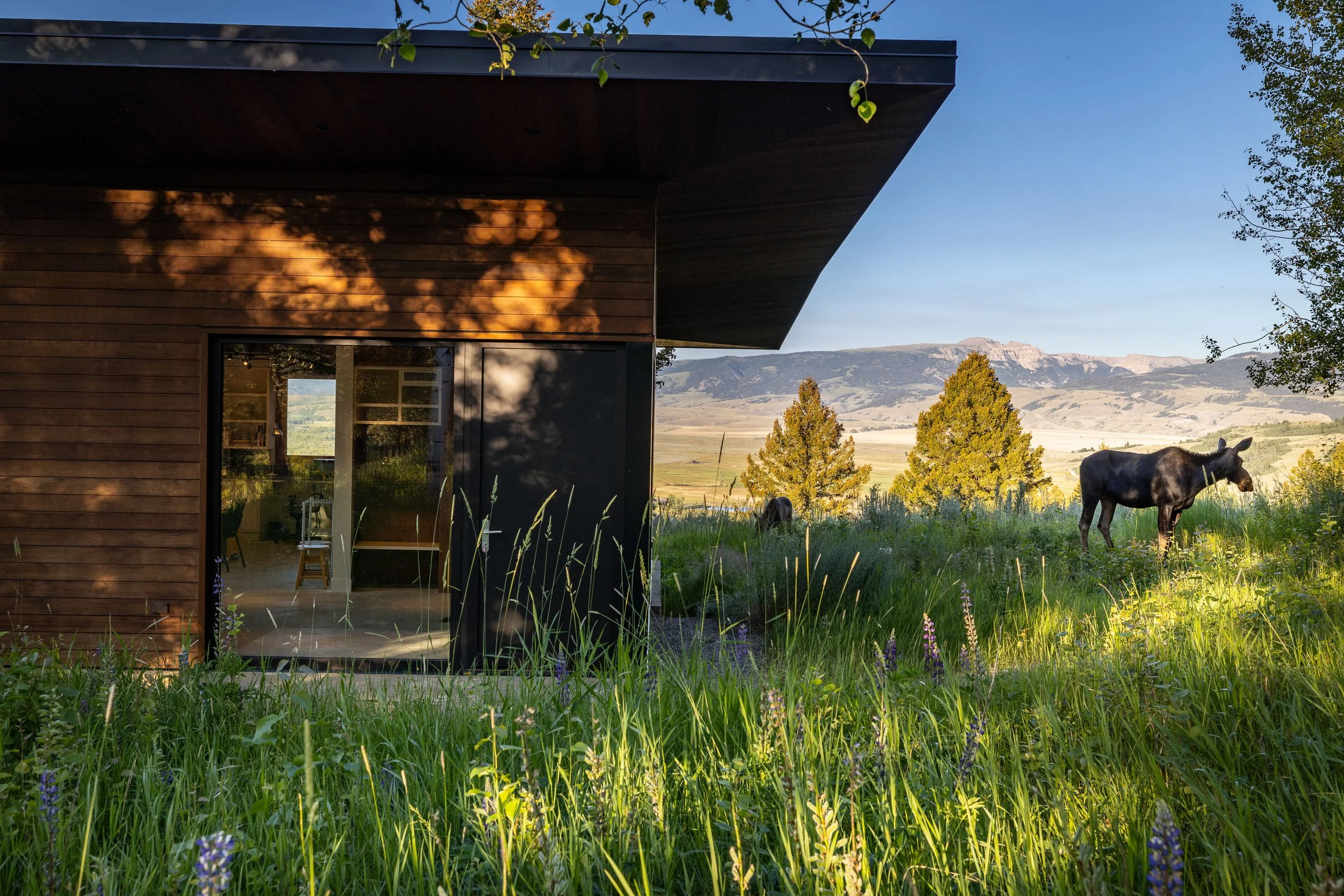 1405 W Hansen Peak HiRes-108.jpg