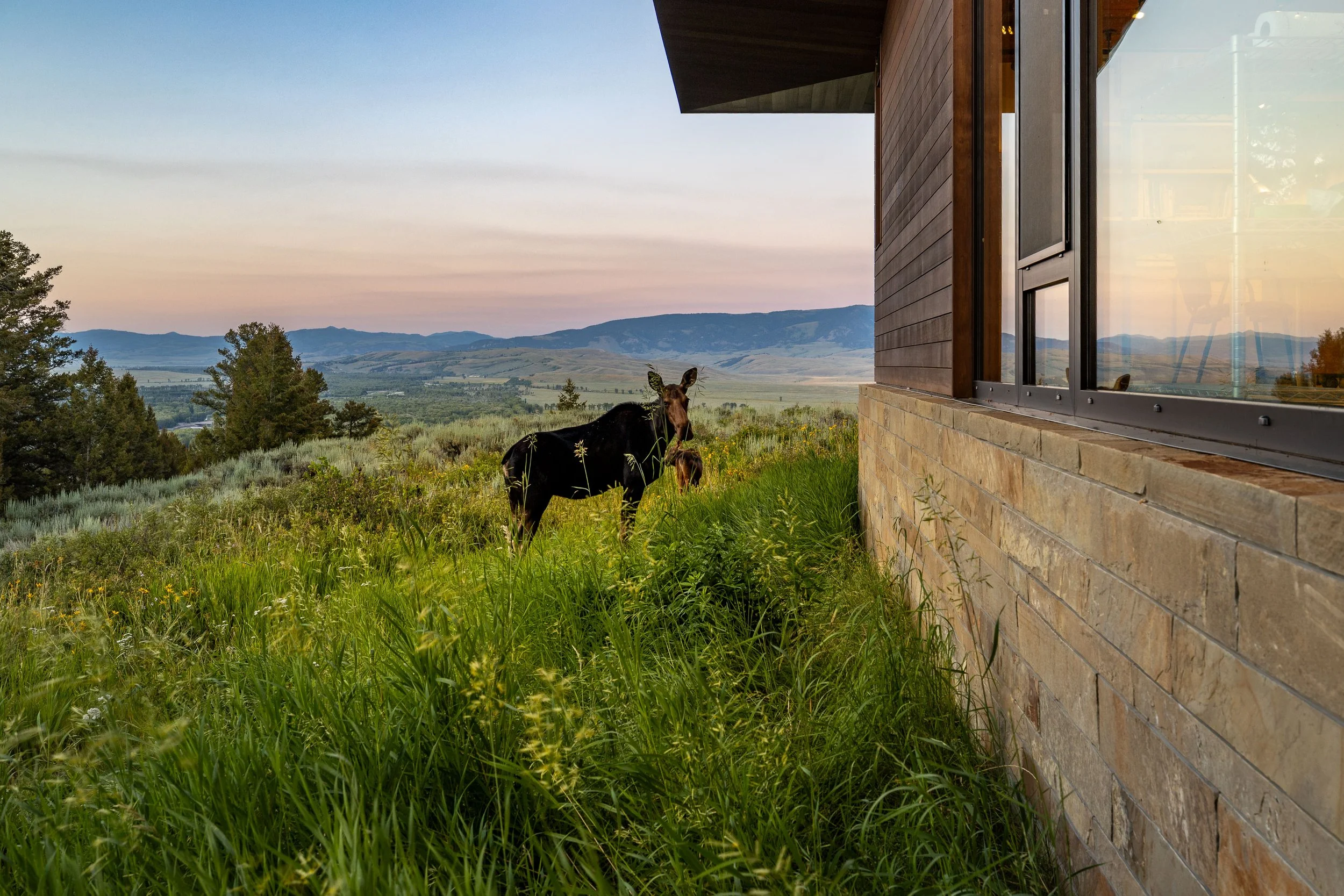 1405 W Hansen Peak HiRes-156.jpg