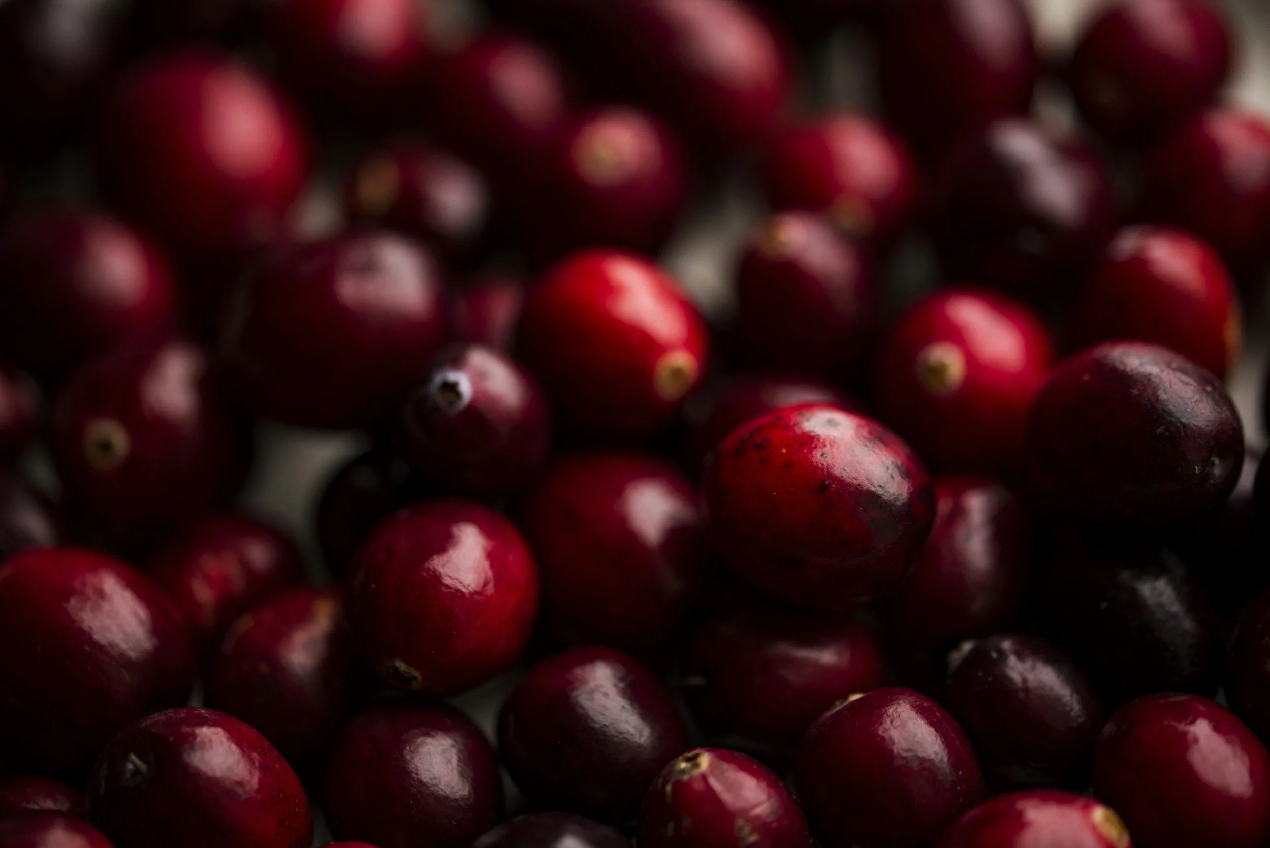 Cranberries may help prevent recurrent urinary tract infections