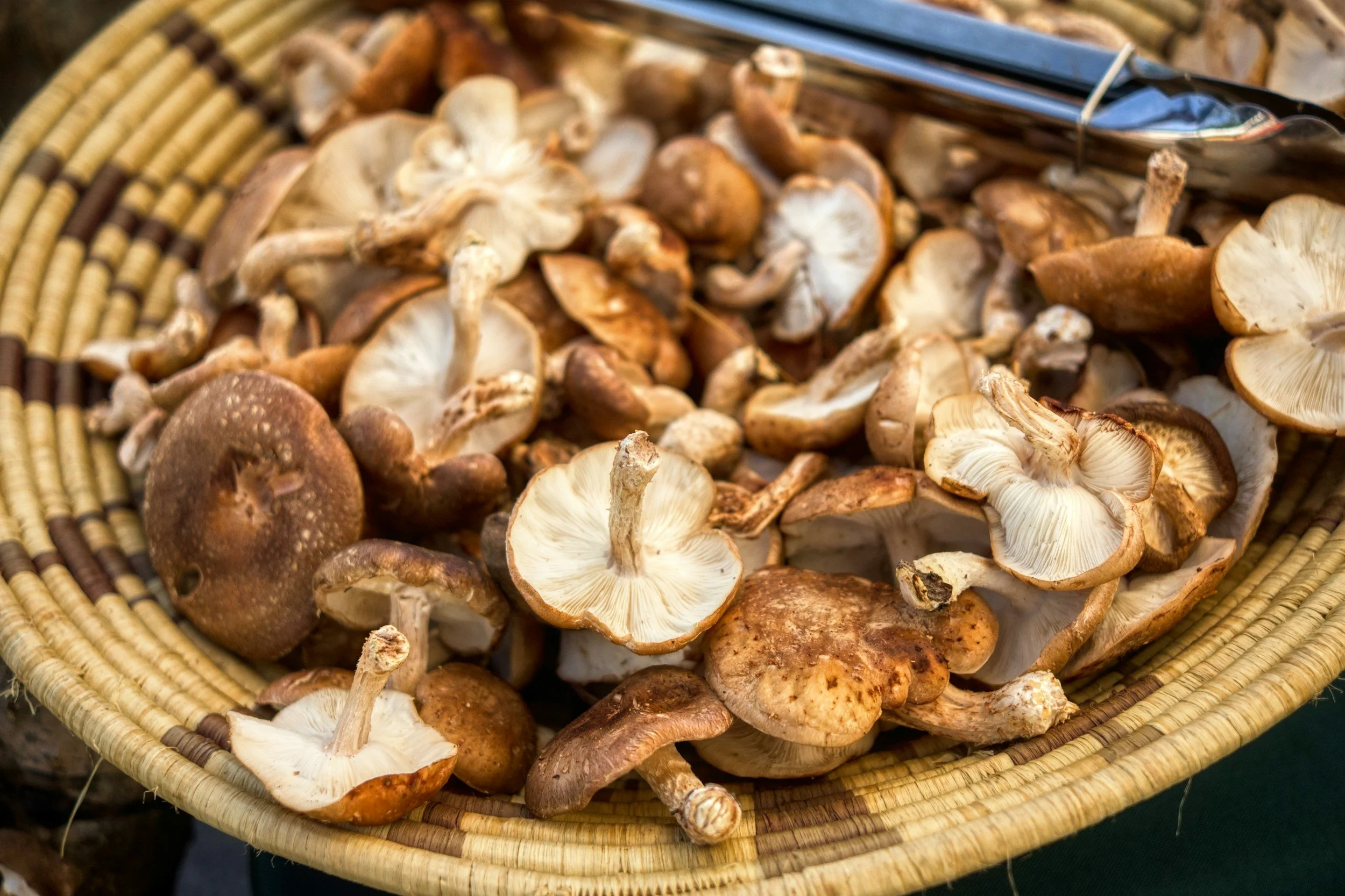 Shiitake mushrooms contain lentinan, which may improve survival in people with gastric cancer