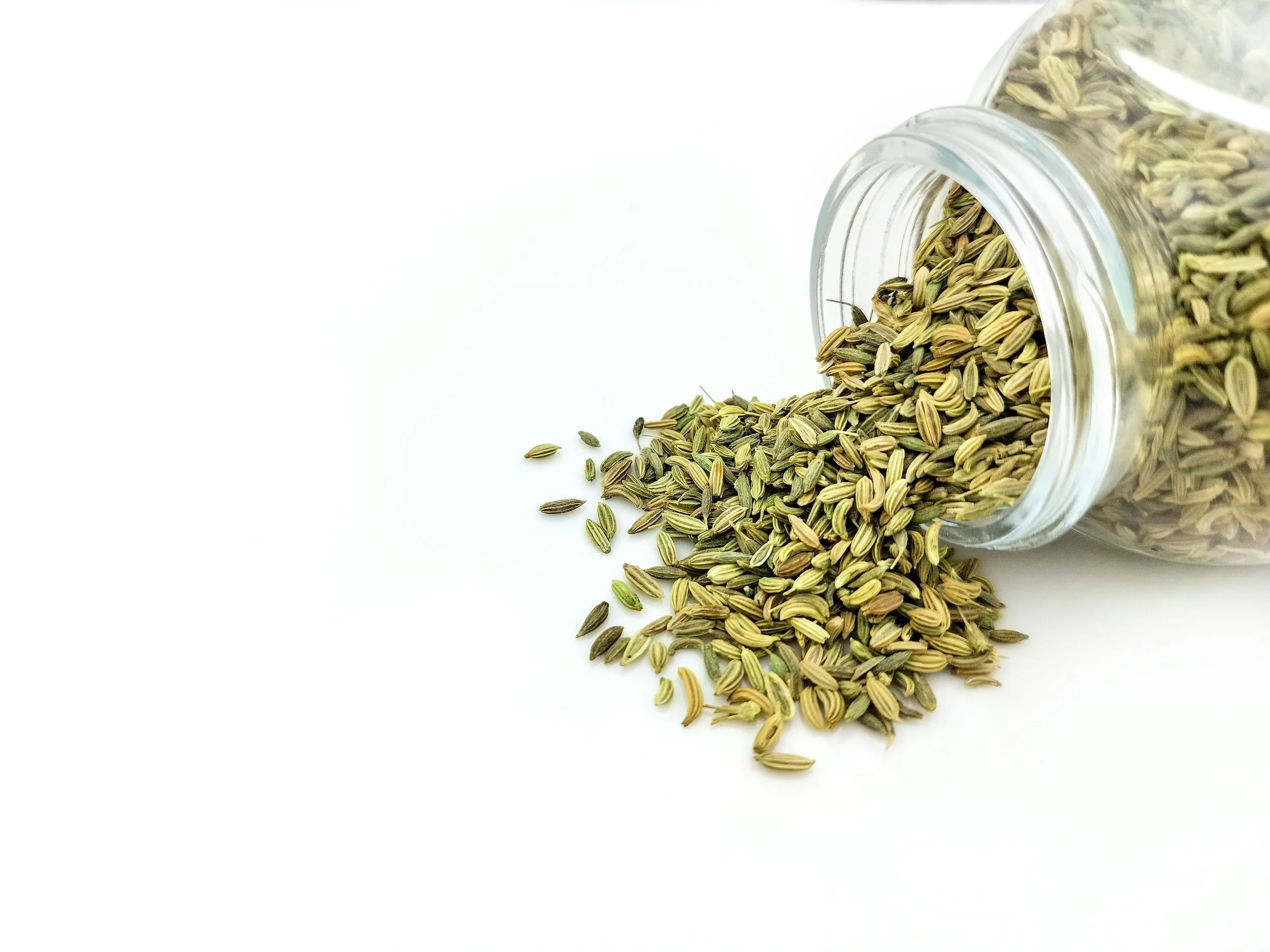 Fennel seed oil may improve infantile colic