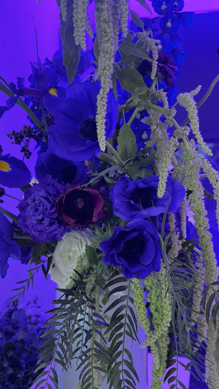 photo_2024-11-25_12-46-08 (3).jpg