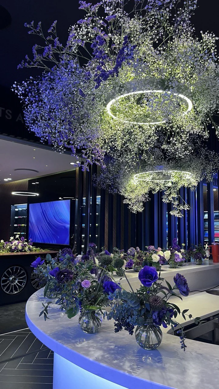 photo_2024-11-25_12-45-06 (2).jpg